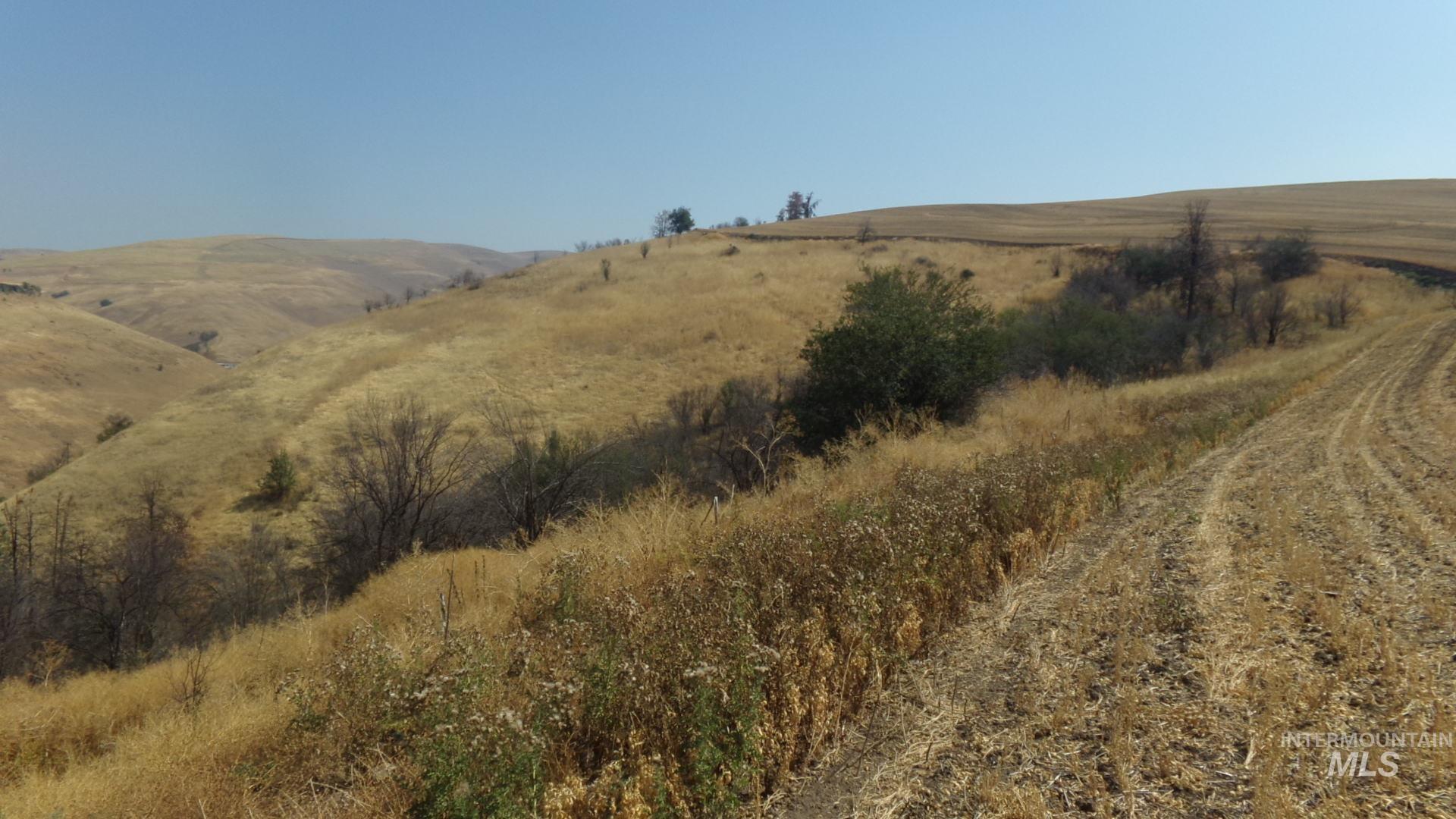 View of mountain backdrop featuring rural landscape