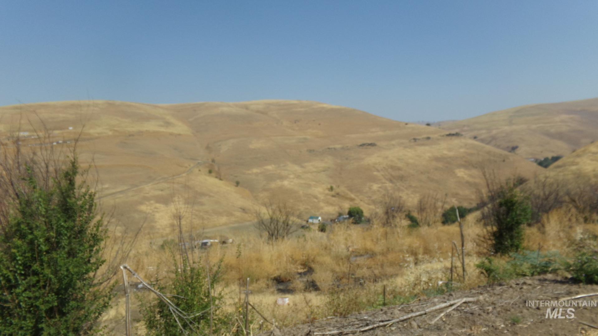 View of mountain background