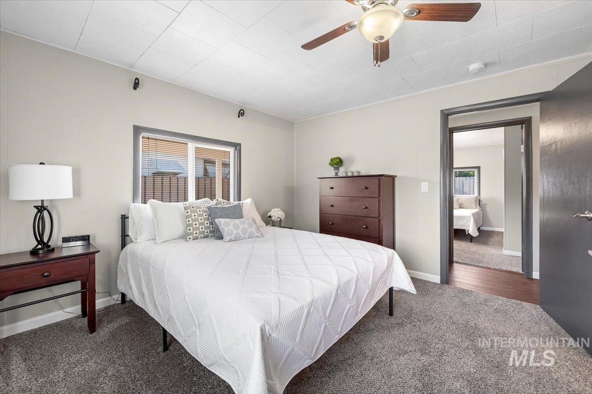 Carpeted bedroom featuring multiple windows and ceiling fan