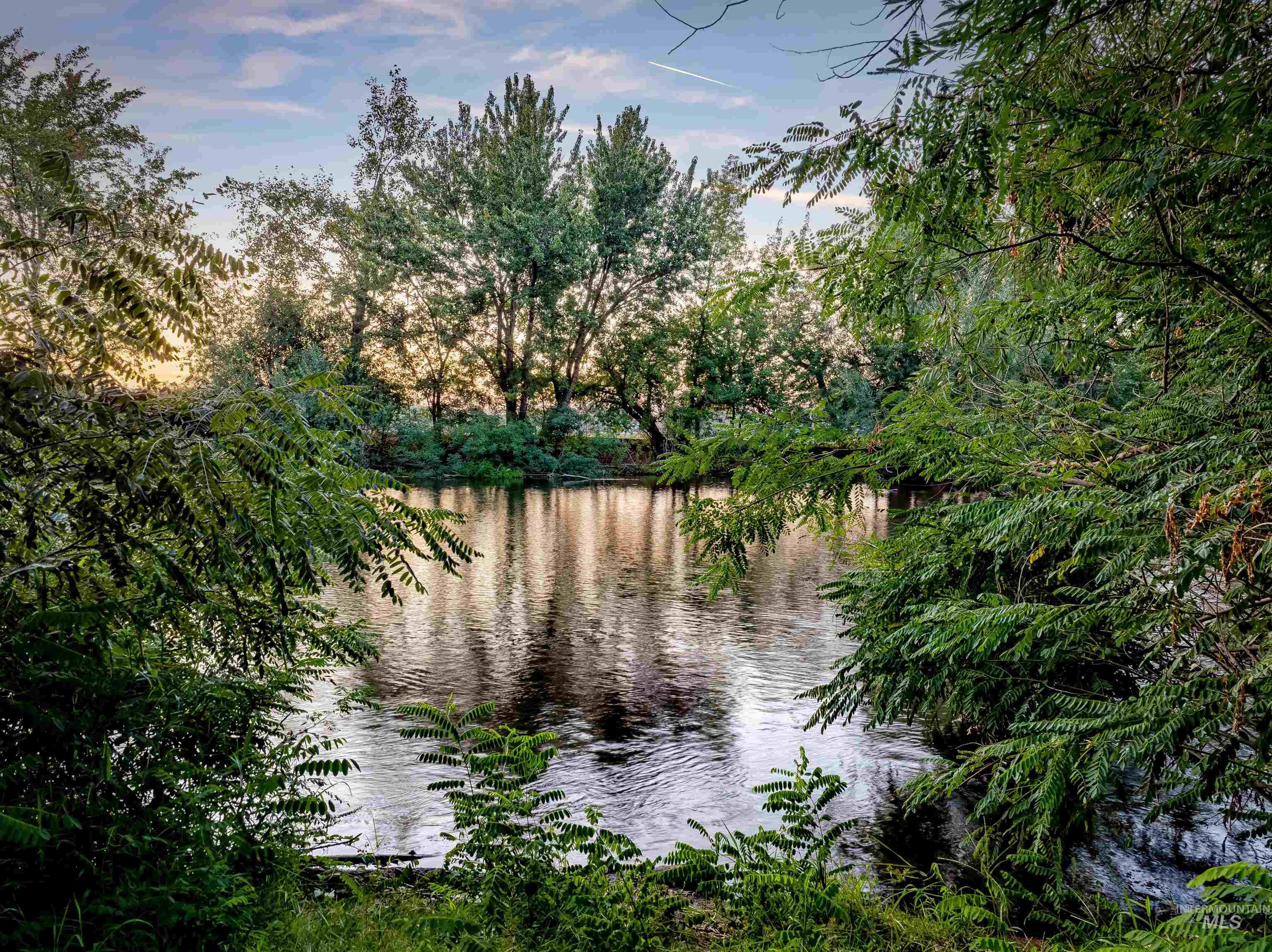 Water view