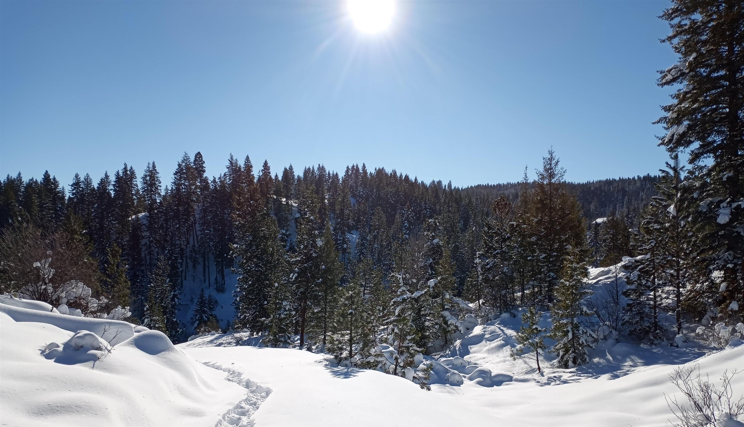 TBD - 380 Clear Creek Road, Boise, Idaho 83716, Land For Sale, Price $777,000, 98960077