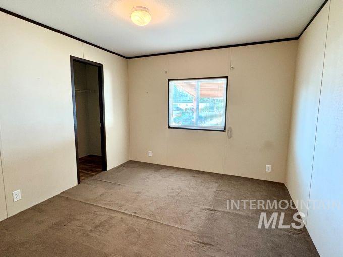Unfurnished bedroom featuring a closet, crown molding, and carpet flooring
