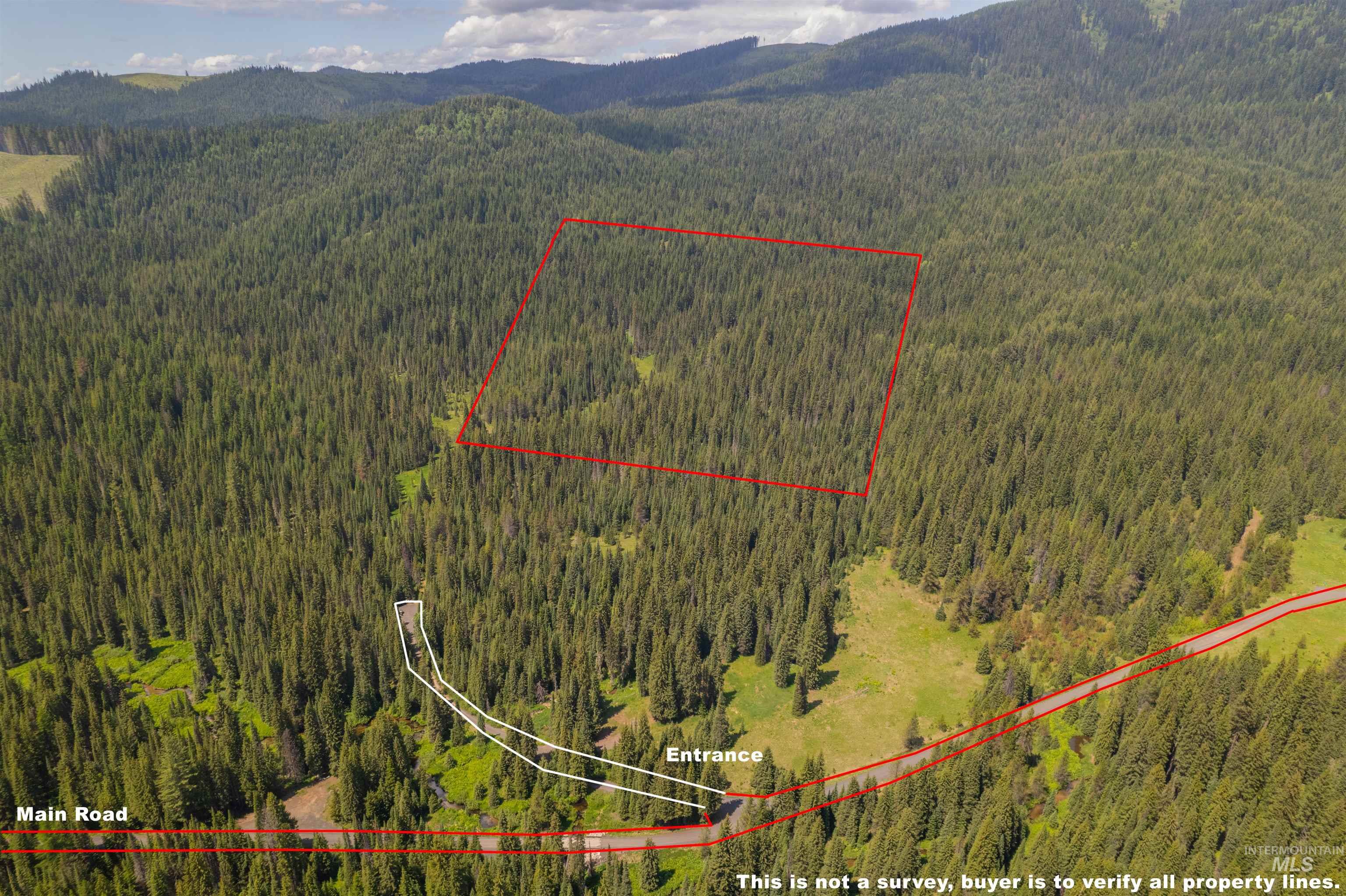 Fsd 382 Rd, Elk River, Idaho 83827, Land For Sale, Price $525,000, 98960096