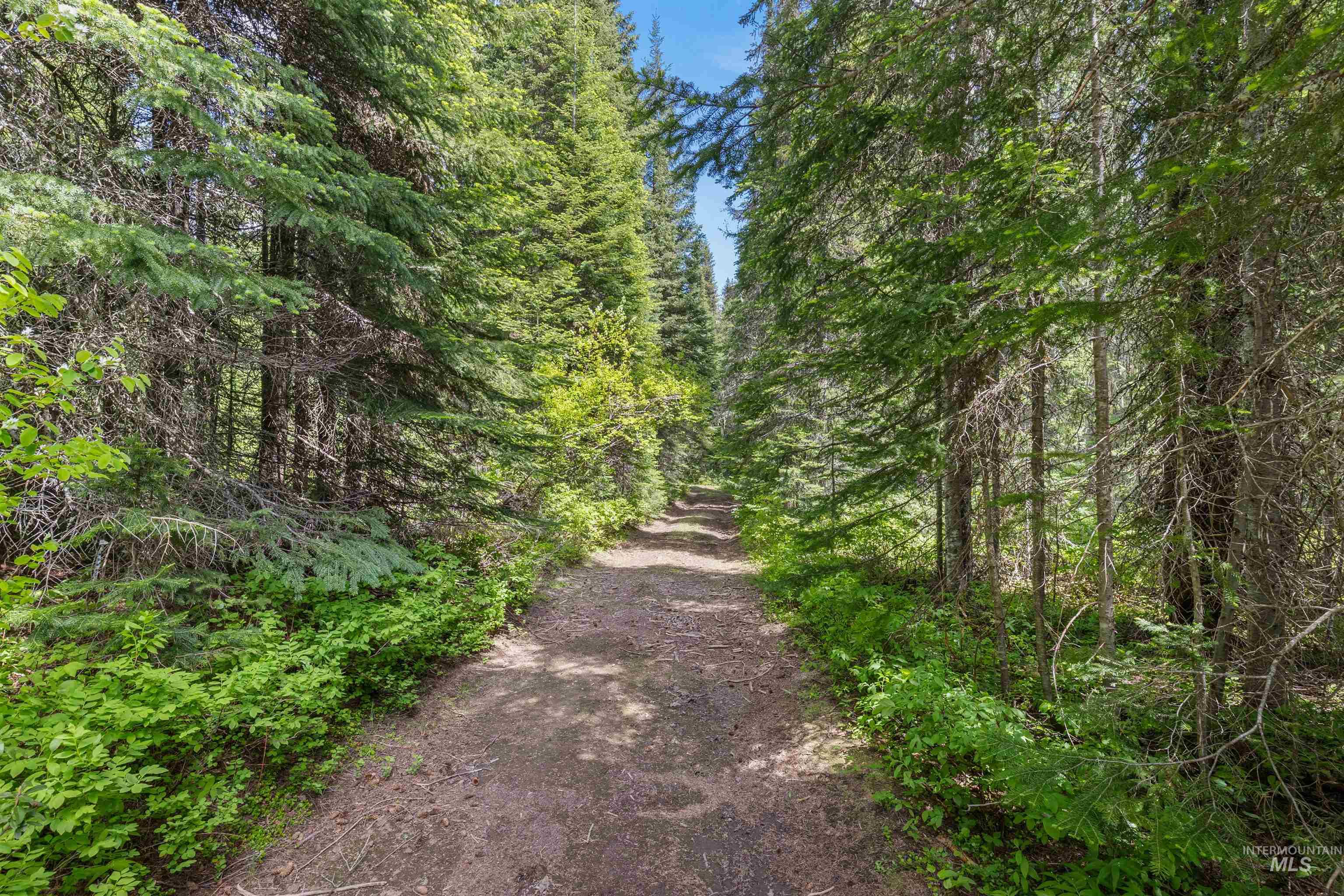 Fsd 382 Rd, Elk River, Idaho 83827, Land For Sale, Price $525,000, 98960096