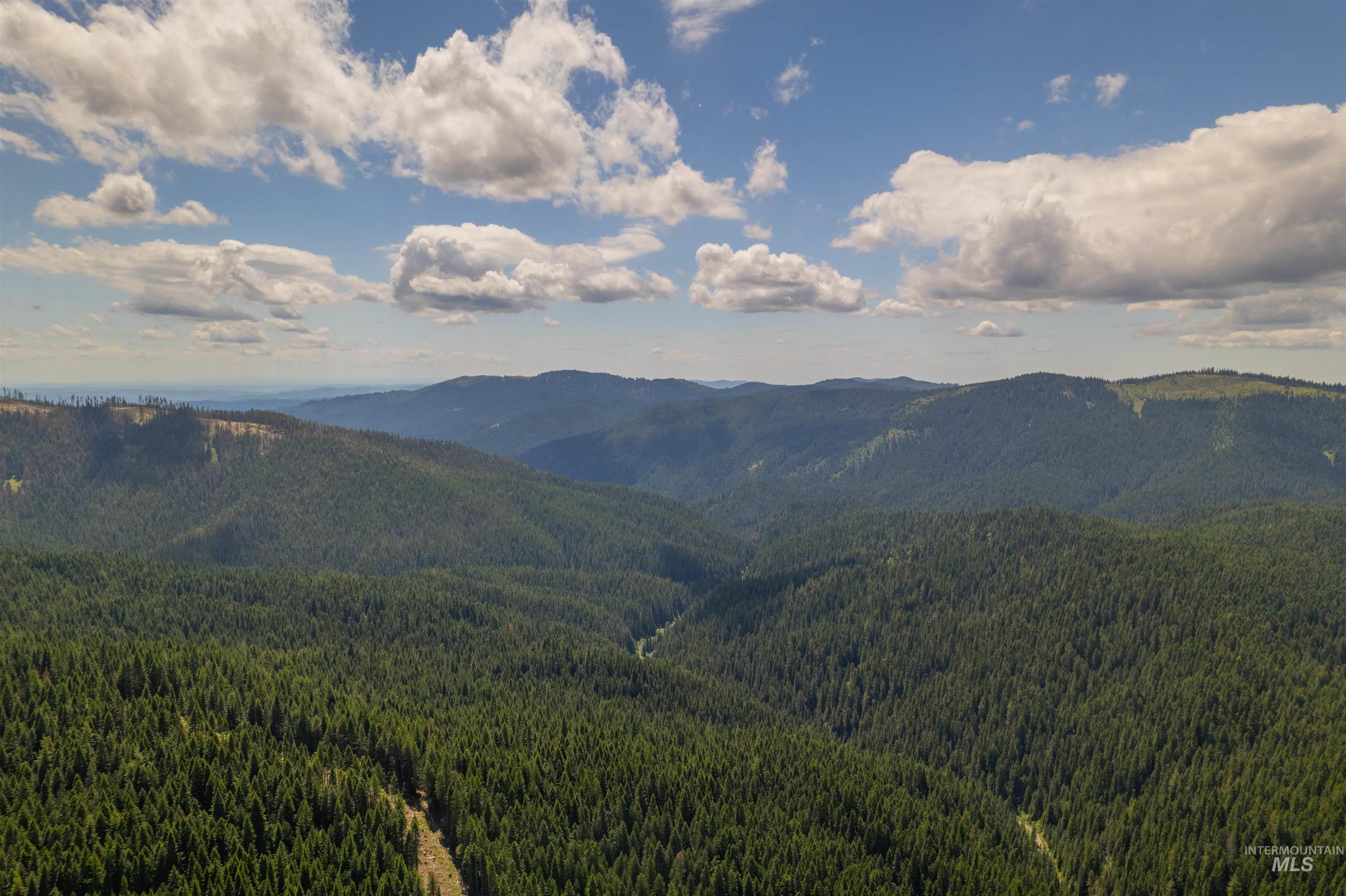 Fsd 382 Rd, Elk River, Idaho 83827, Land For Sale, Price $525,000, 98960096