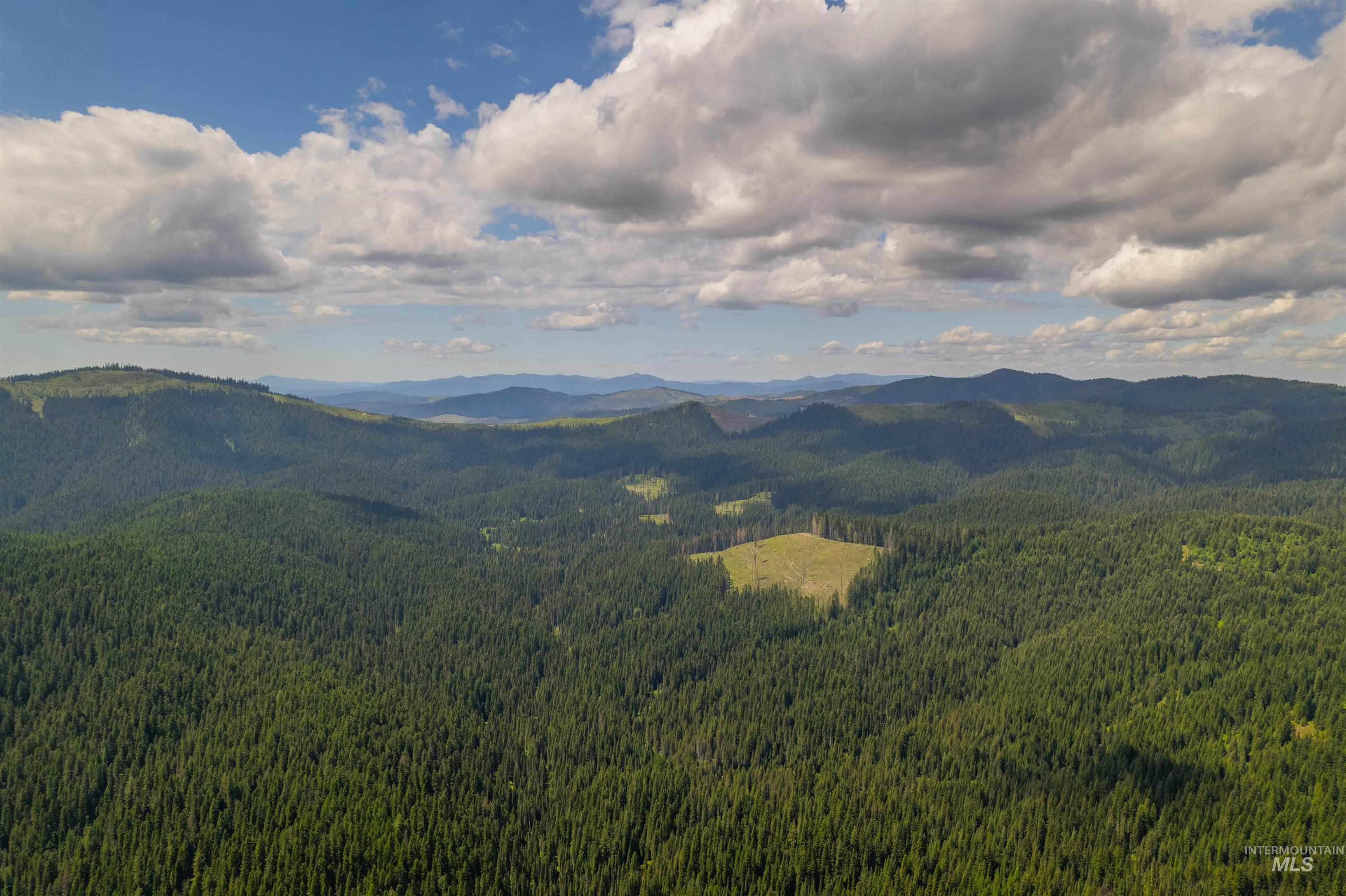 Fsd 382 Rd, Elk River, Idaho 83827, Land For Sale, Price $525,000, 98960096