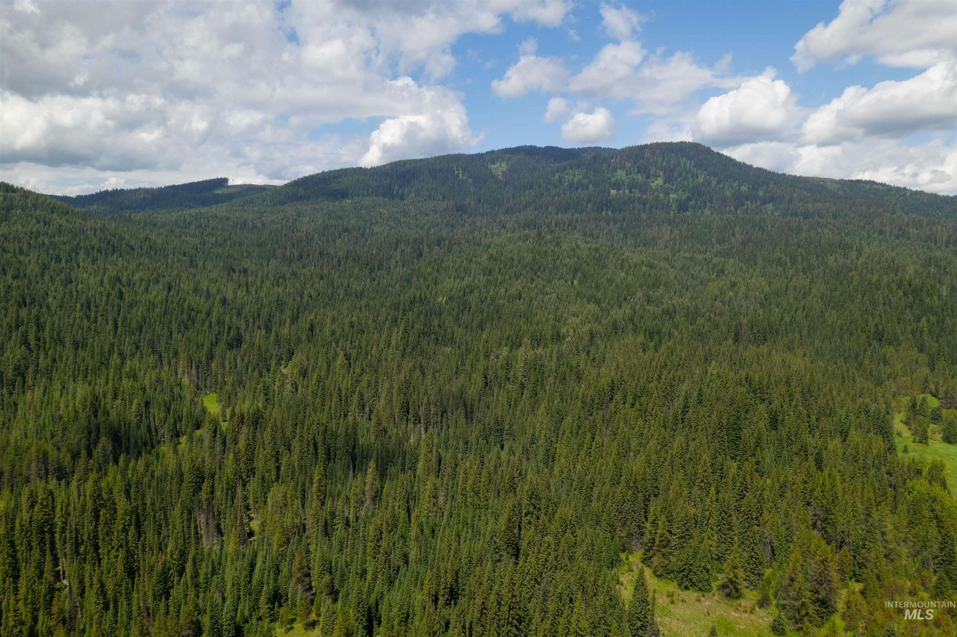 Fsd 382 Rd, Elk River, Idaho 83827, Land For Sale, Price $525,000, 98960096