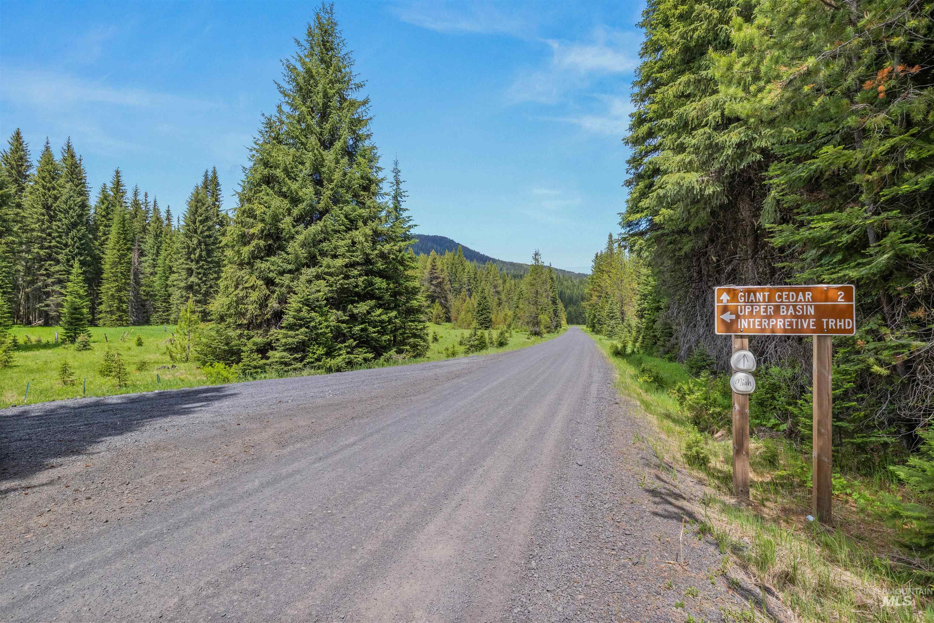 Fsd 382 Rd, Elk River, Idaho 83827, Land For Sale, Price $525,000, 98960096