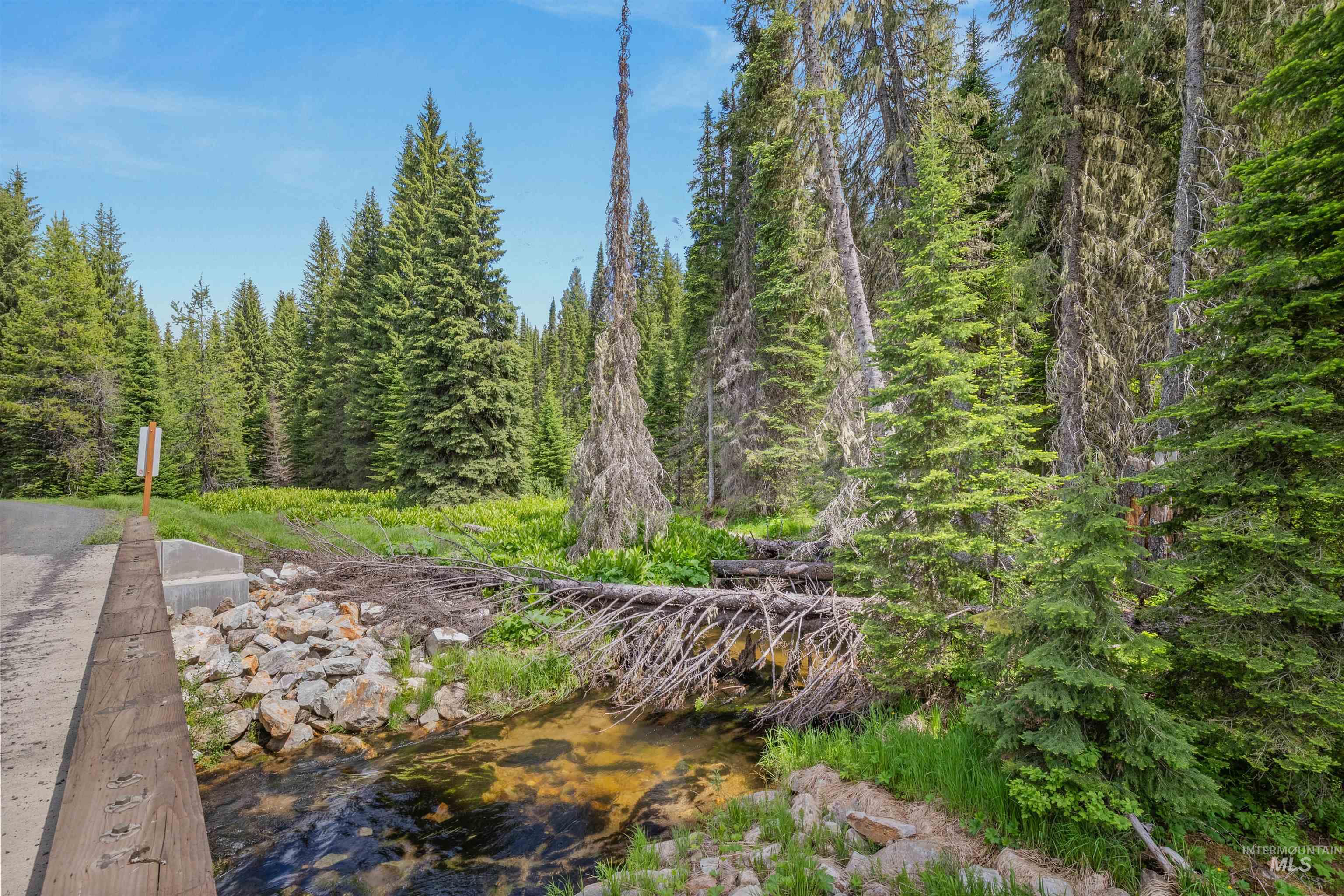 Fsd 382 Rd, Elk River, Idaho 83827, Land For Sale, Price $525,000, 98960096