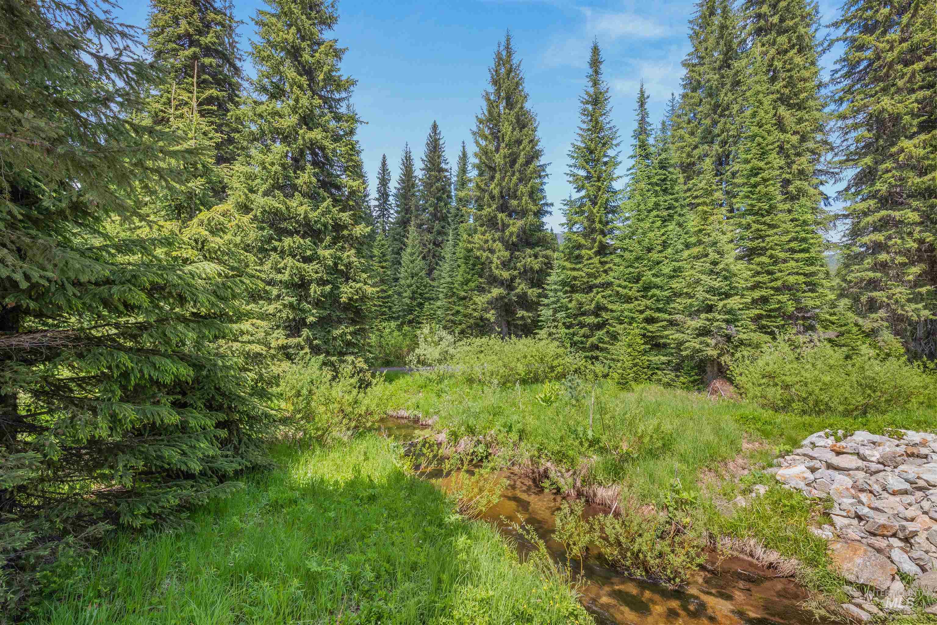 Fsd 382 Rd, Elk River, Idaho 83827, Land For Sale, Price $525,000, 98960096