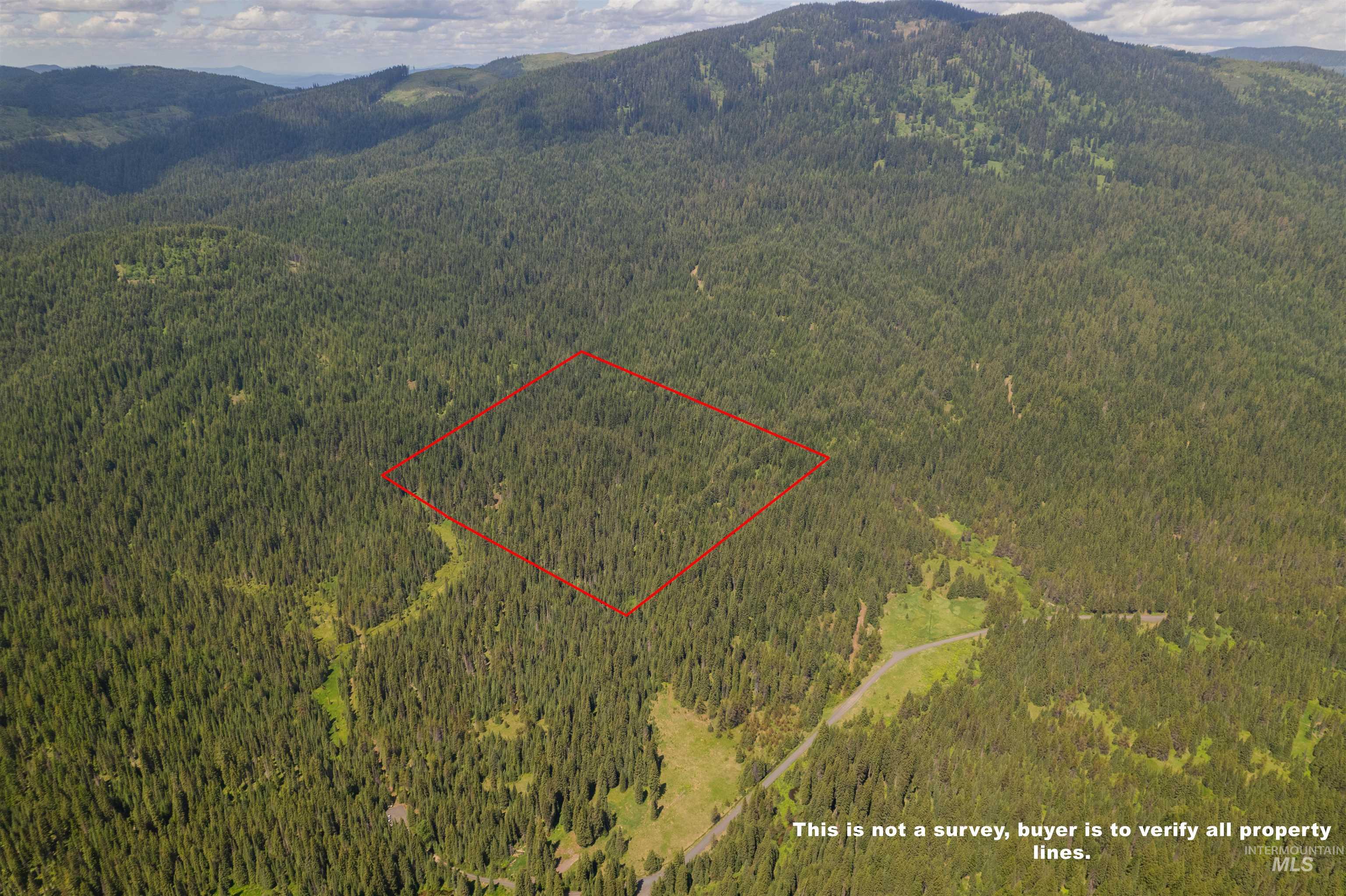 Fsd 382 Rd, Elk River, Idaho 83827, Land For Sale, Price $525,000, 98960096