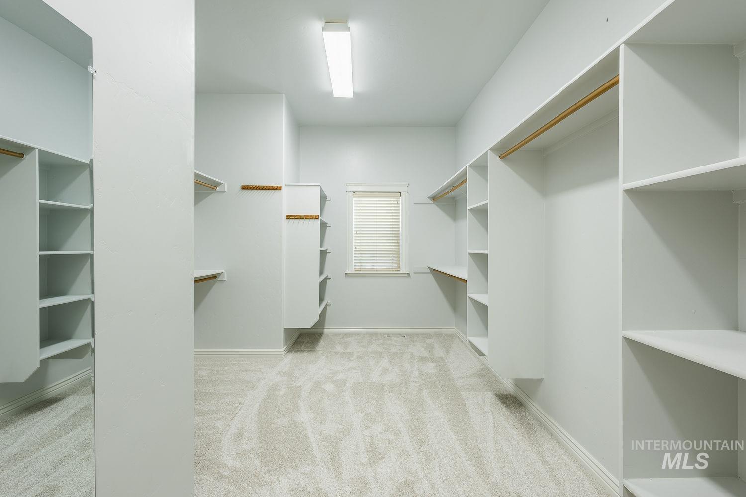 Walk in closet with light colored carpet