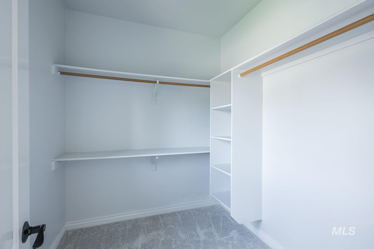 Spacious closet featuring light colored carpet
