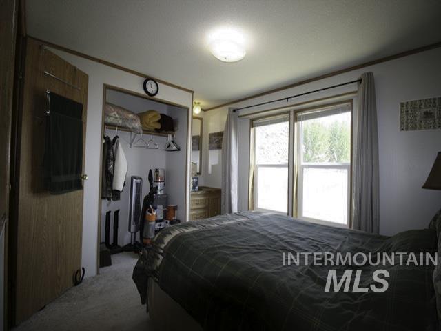 Carpeted bedroom featuring a closet and ornamental molding