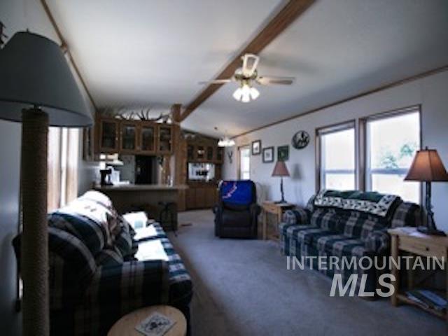 Carpeted living room featuring a ceiling fan