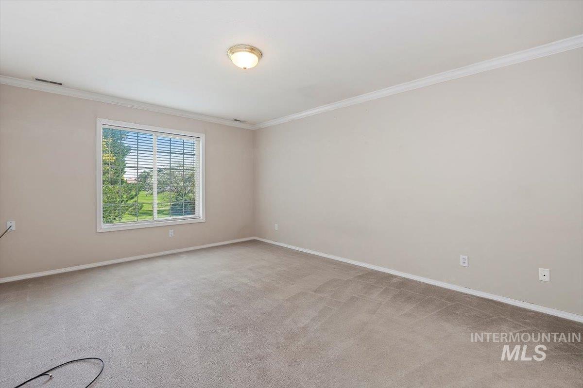 Unfurnished room with crown molding and light carpet