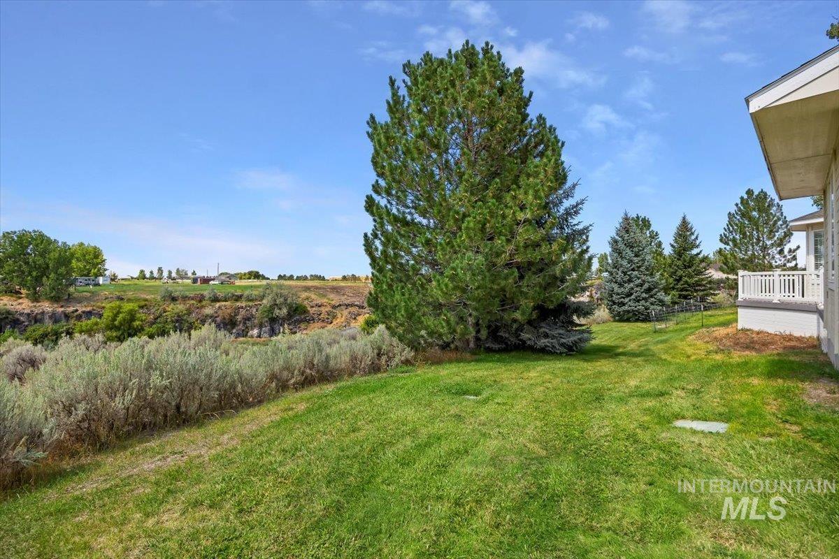 View of green lawn