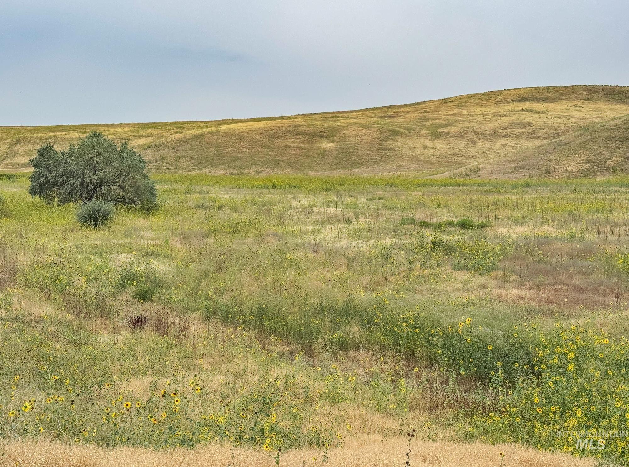 View of local wilderness featuring rural landscape