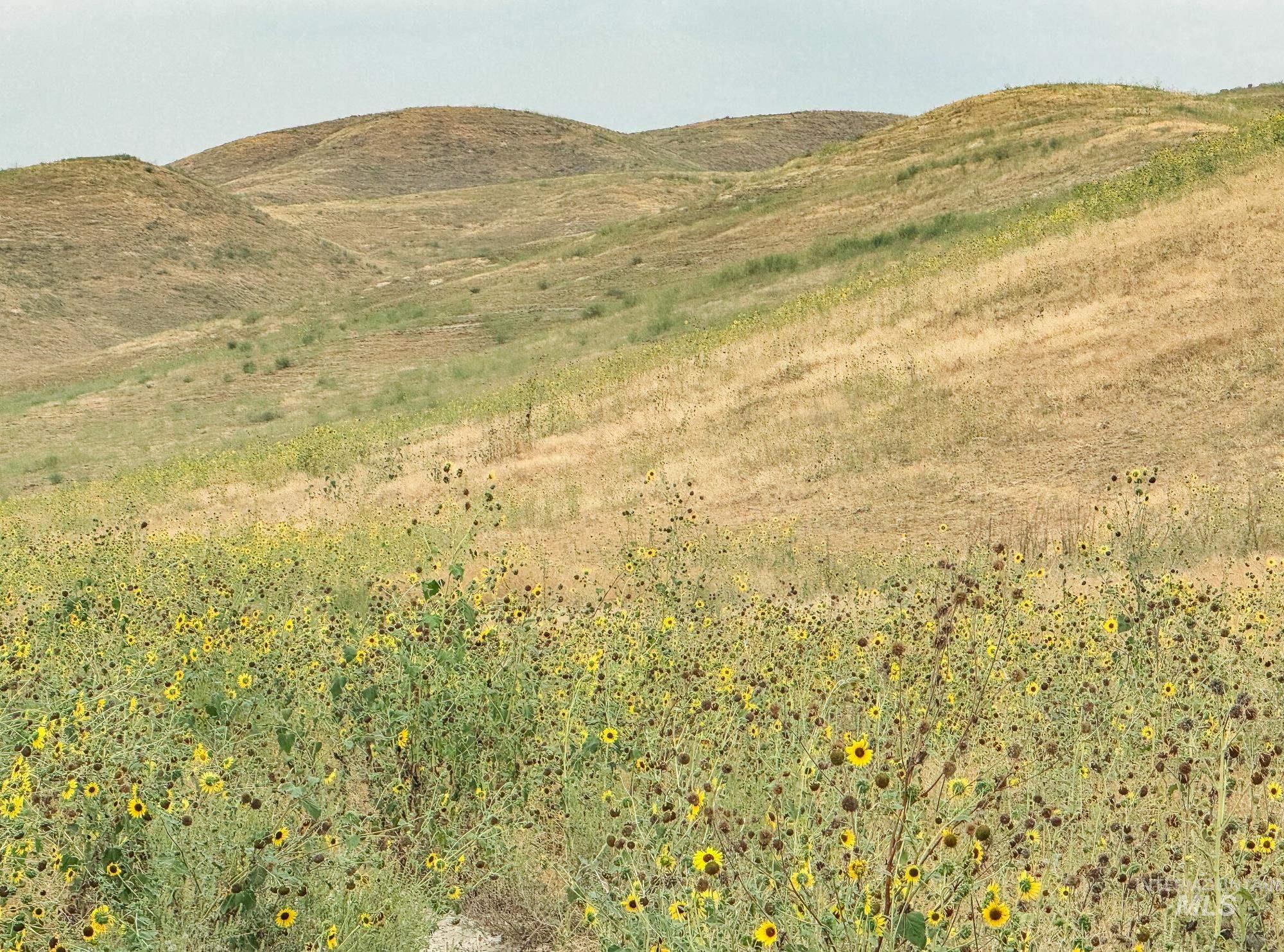 View of mountain background