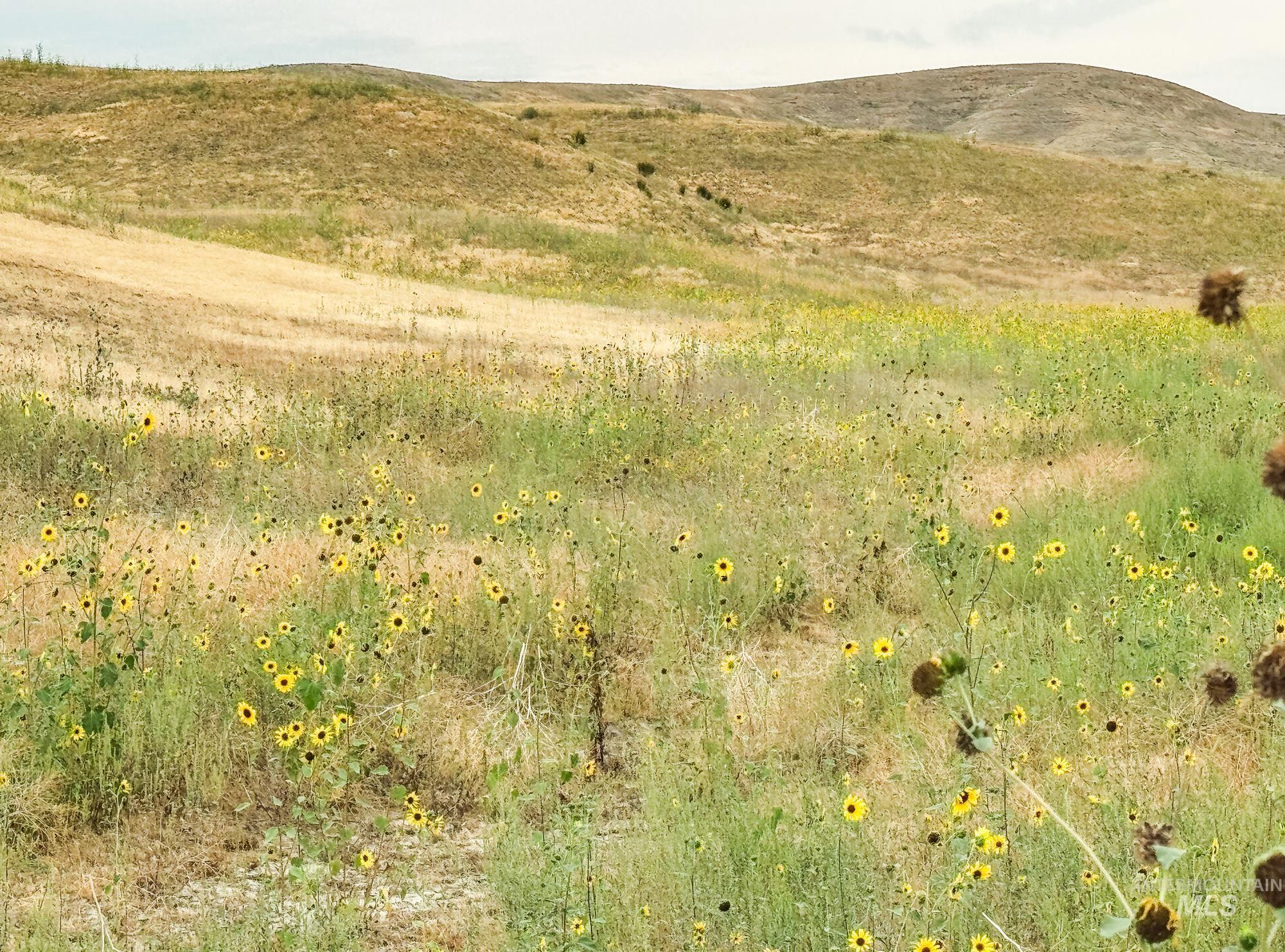 View of mountain background