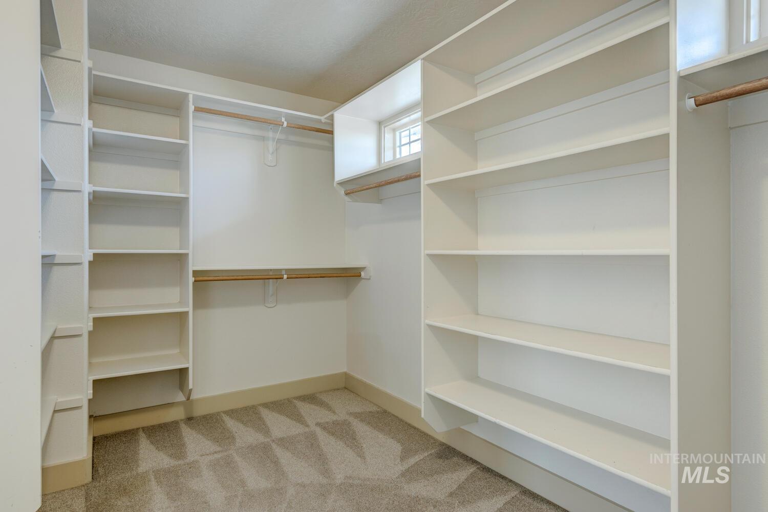 Walk in closet featuring light colored carpet