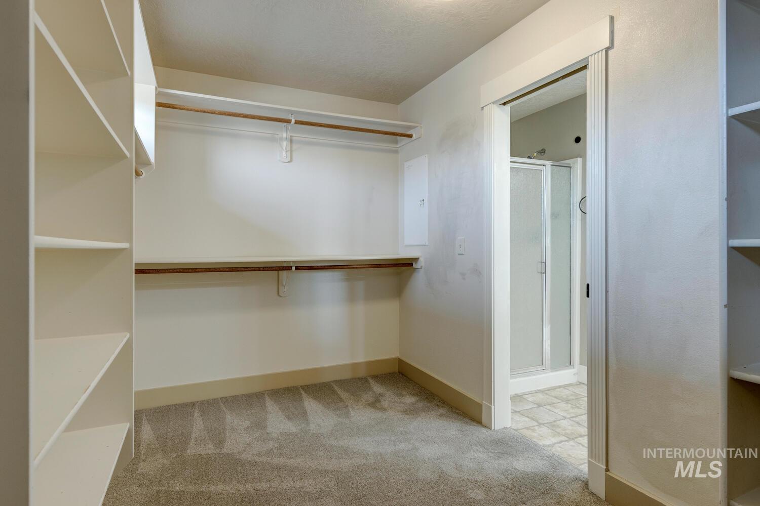 Walk in closet with light colored carpet