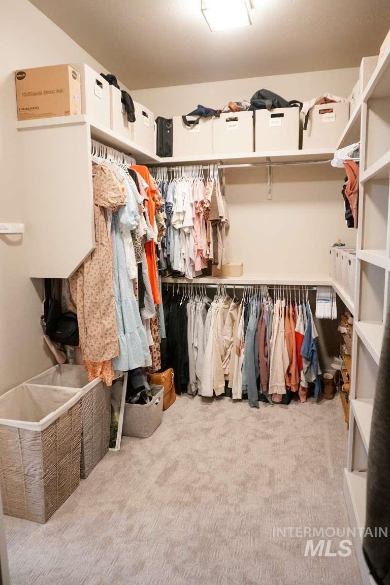Walk in closet featuring light colored carpet