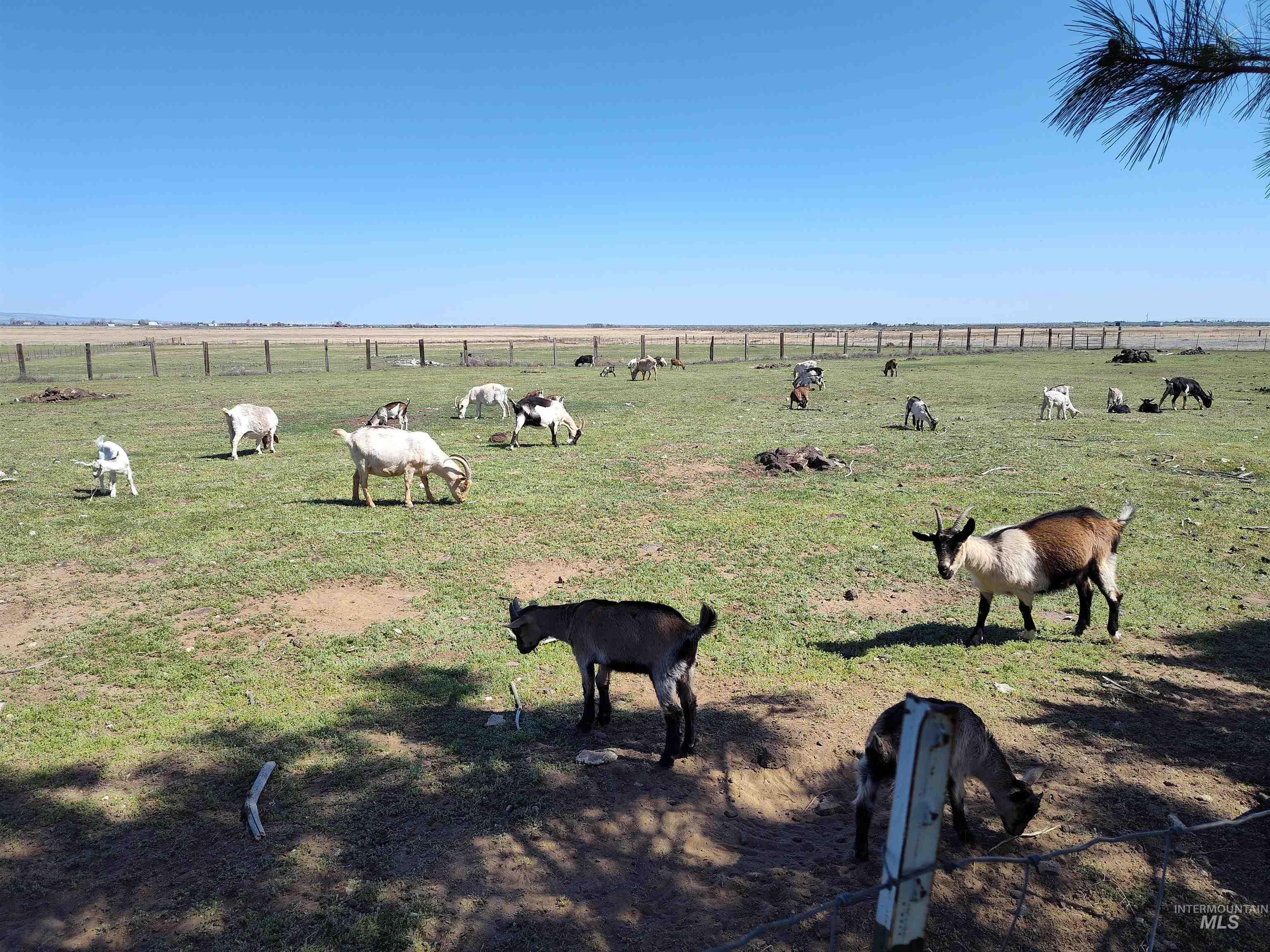 View of home's community