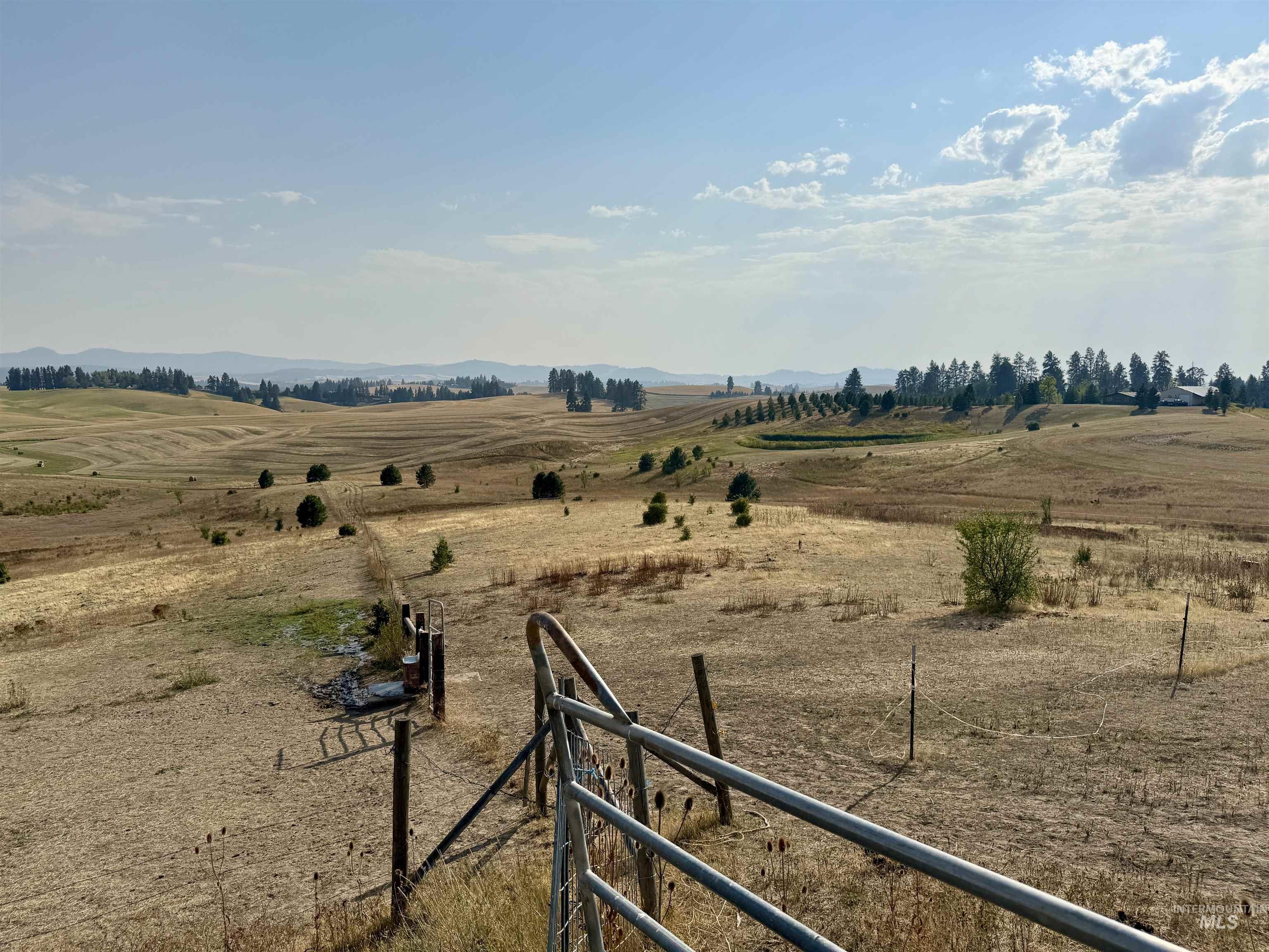 TBD E Freeze Road, Potlatch, Idaho 83855, Land For Sale, Price $450,000, 98960233