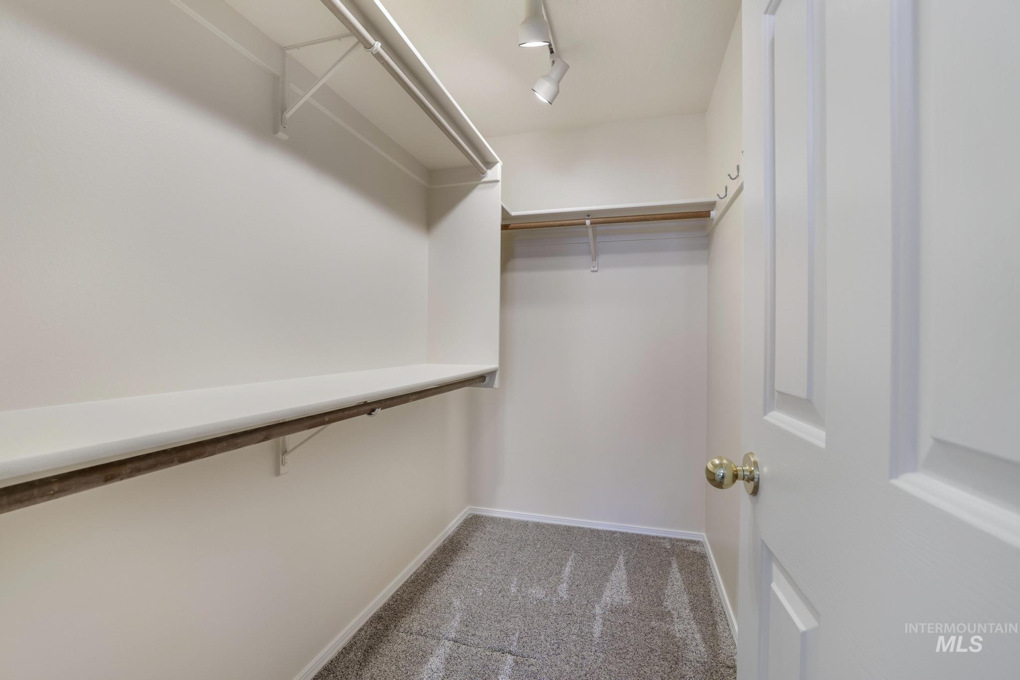 Spacious closet with light carpet