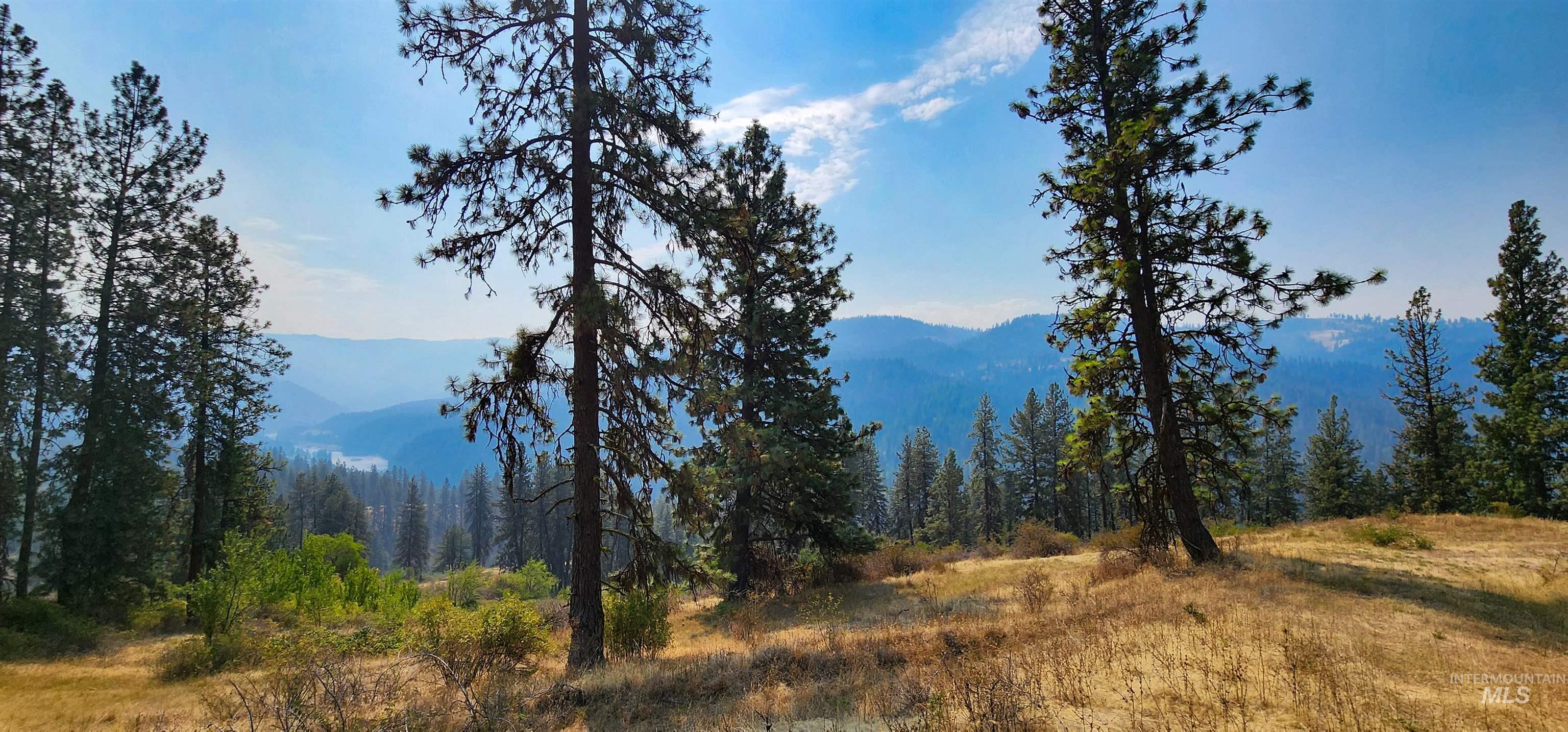 tbd Suttler Creek Rd, Kooskia, Idaho 83539, Land For Sale, Price $319,000, 98960254