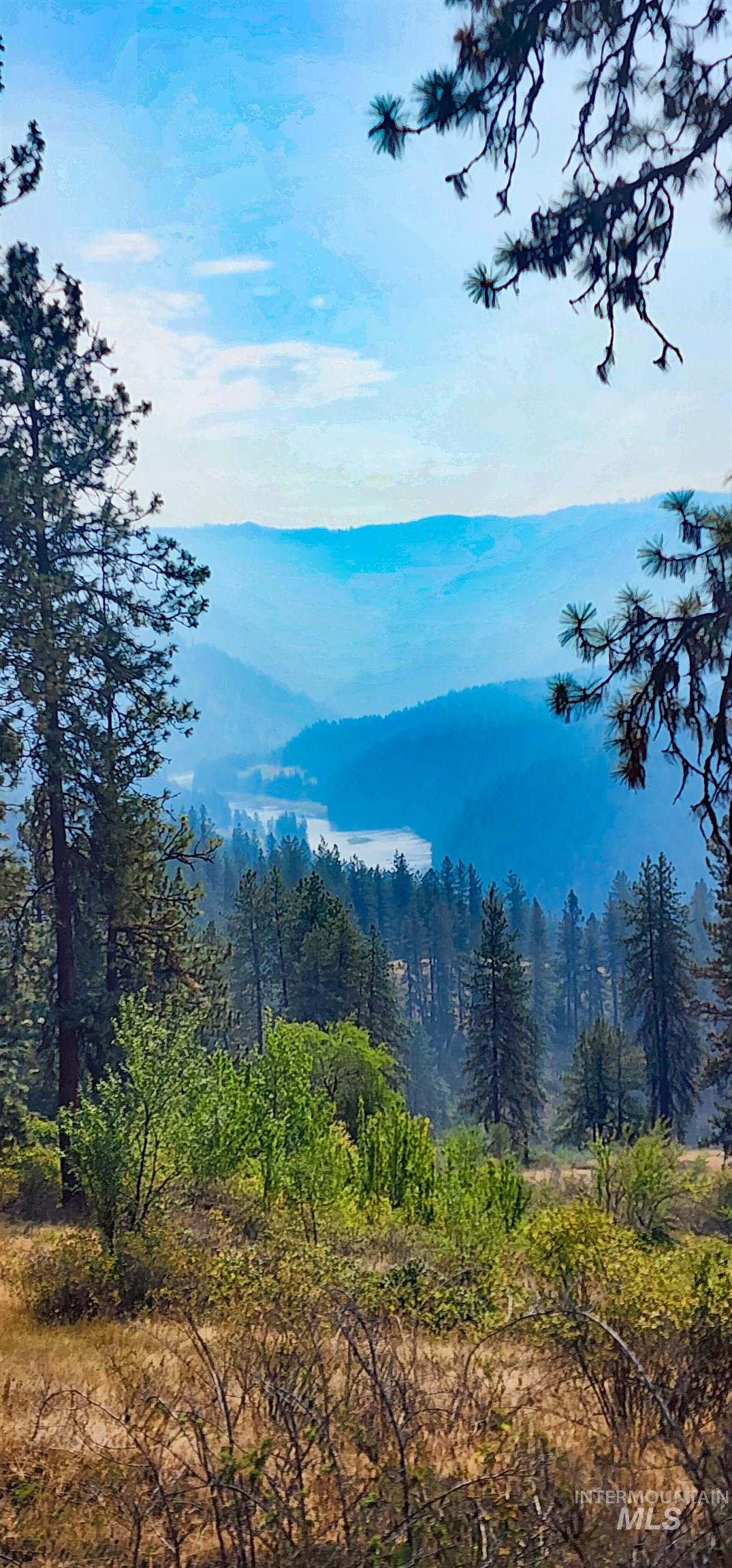 Mountain view with a forest