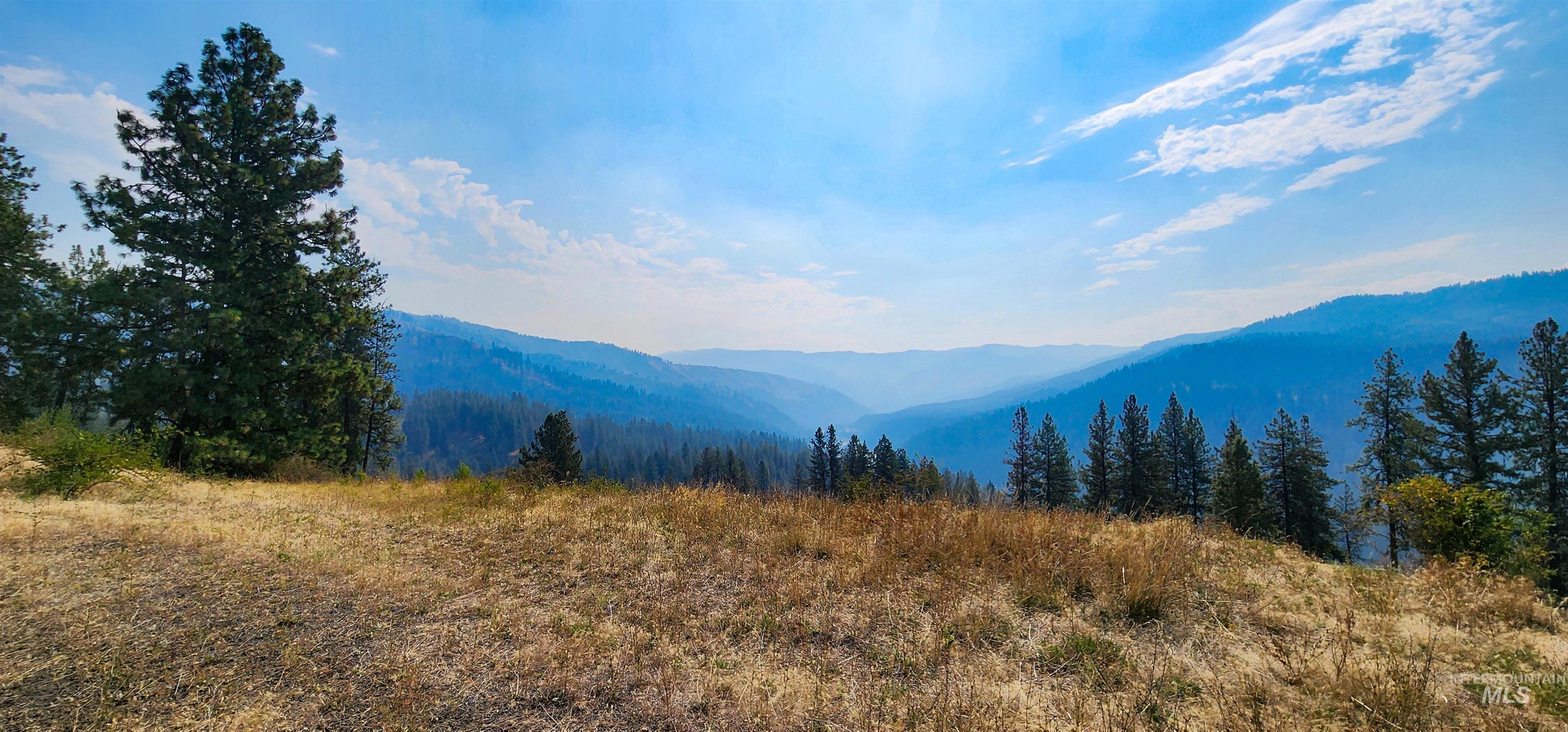 View of mountain background featuring a forest
