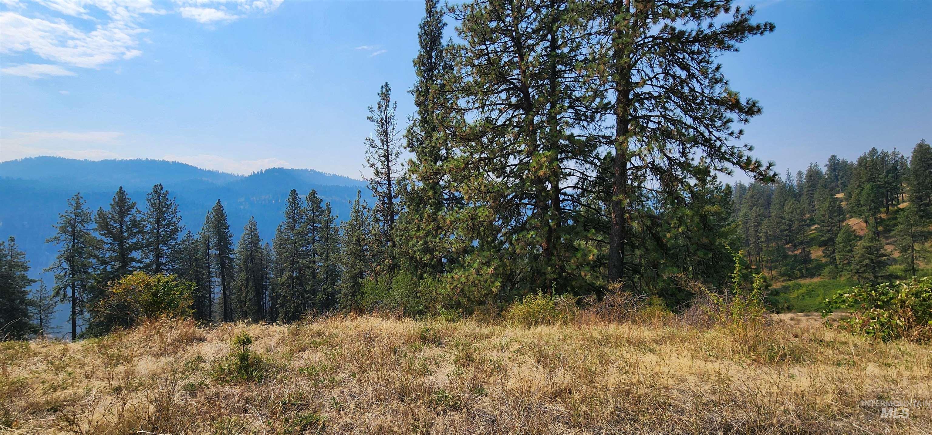View of mountain backdrop with a heavily wooded area