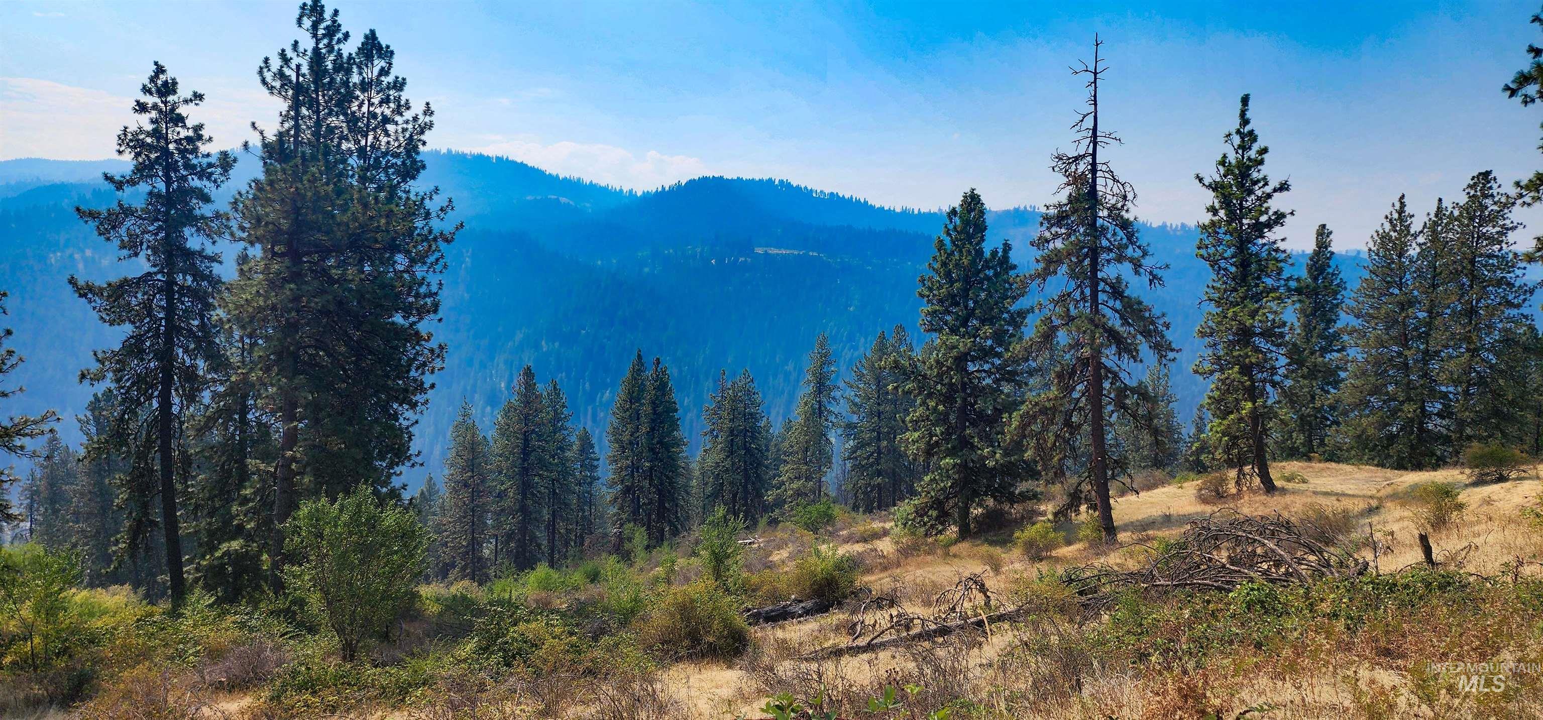 Mountain view featuring a forest