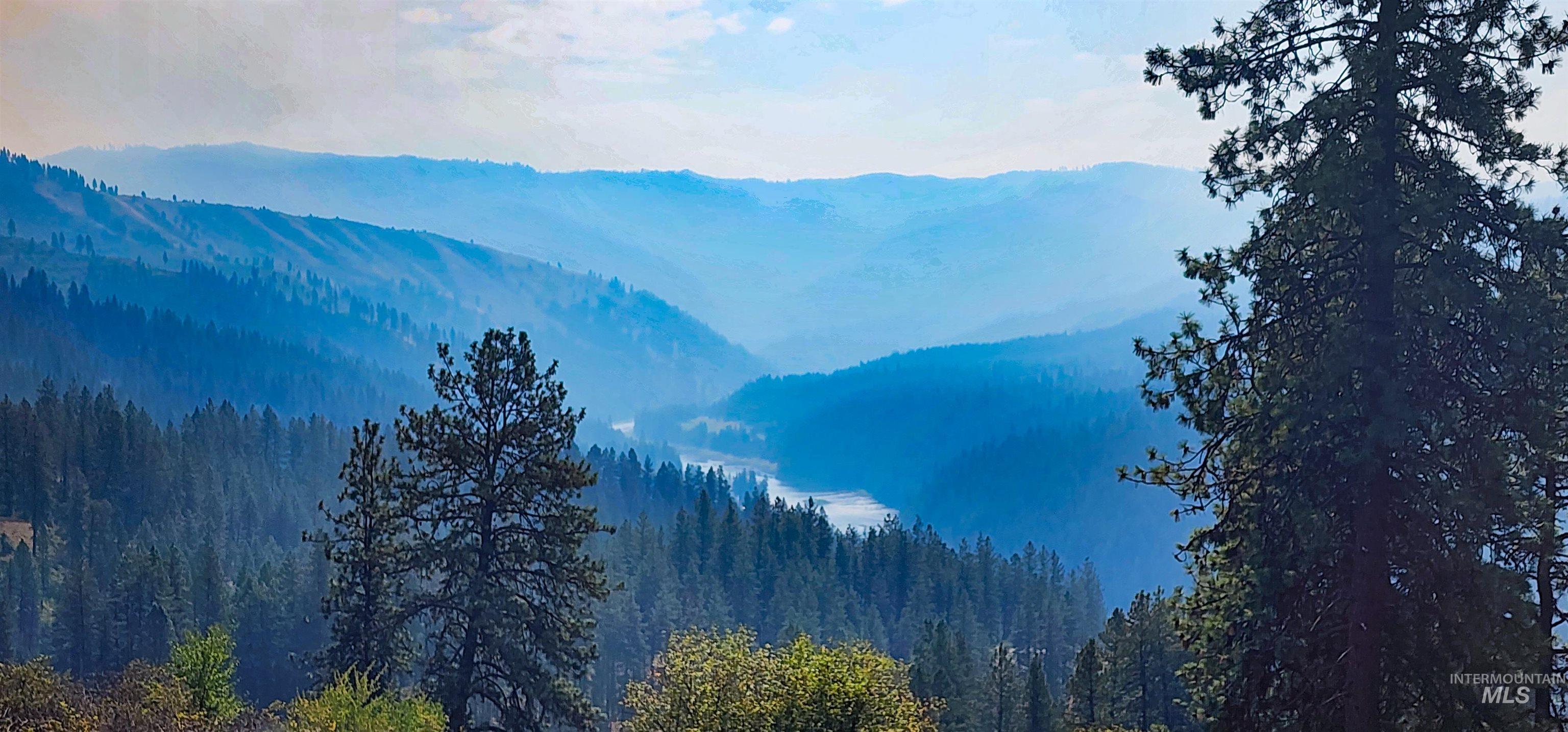 View of mountain background with a forest