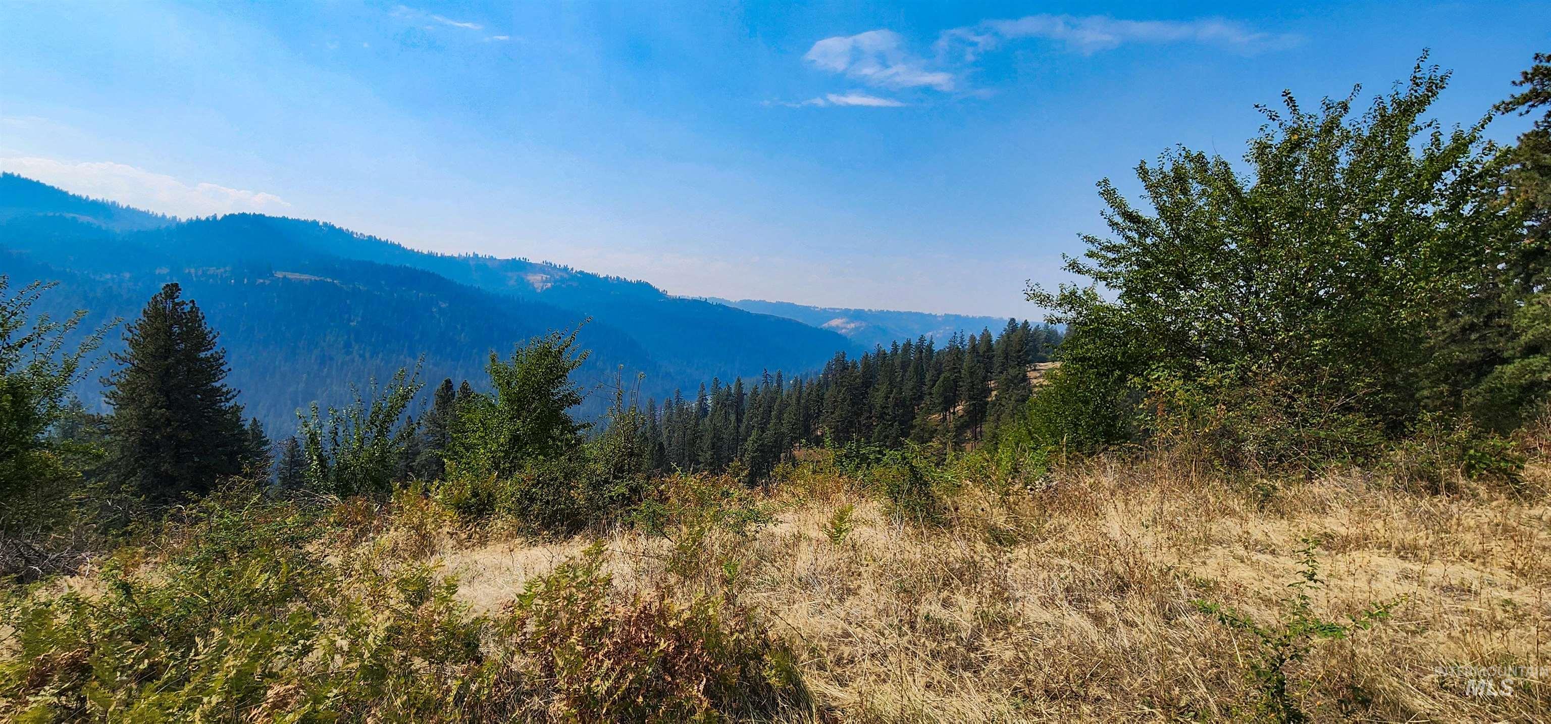 View of mountain backdrop with a heavily wooded area
