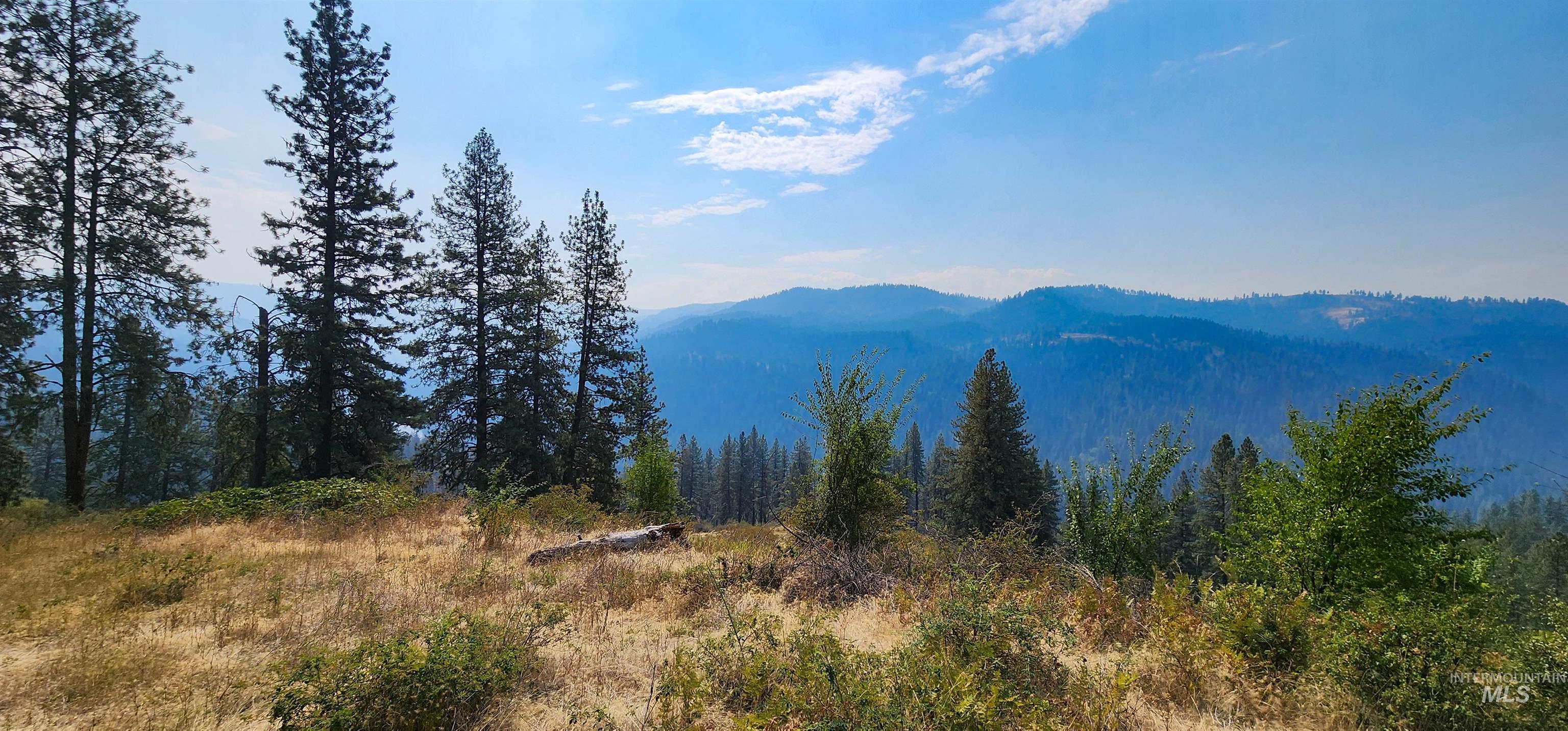 Mountain view with a heavily wooded area