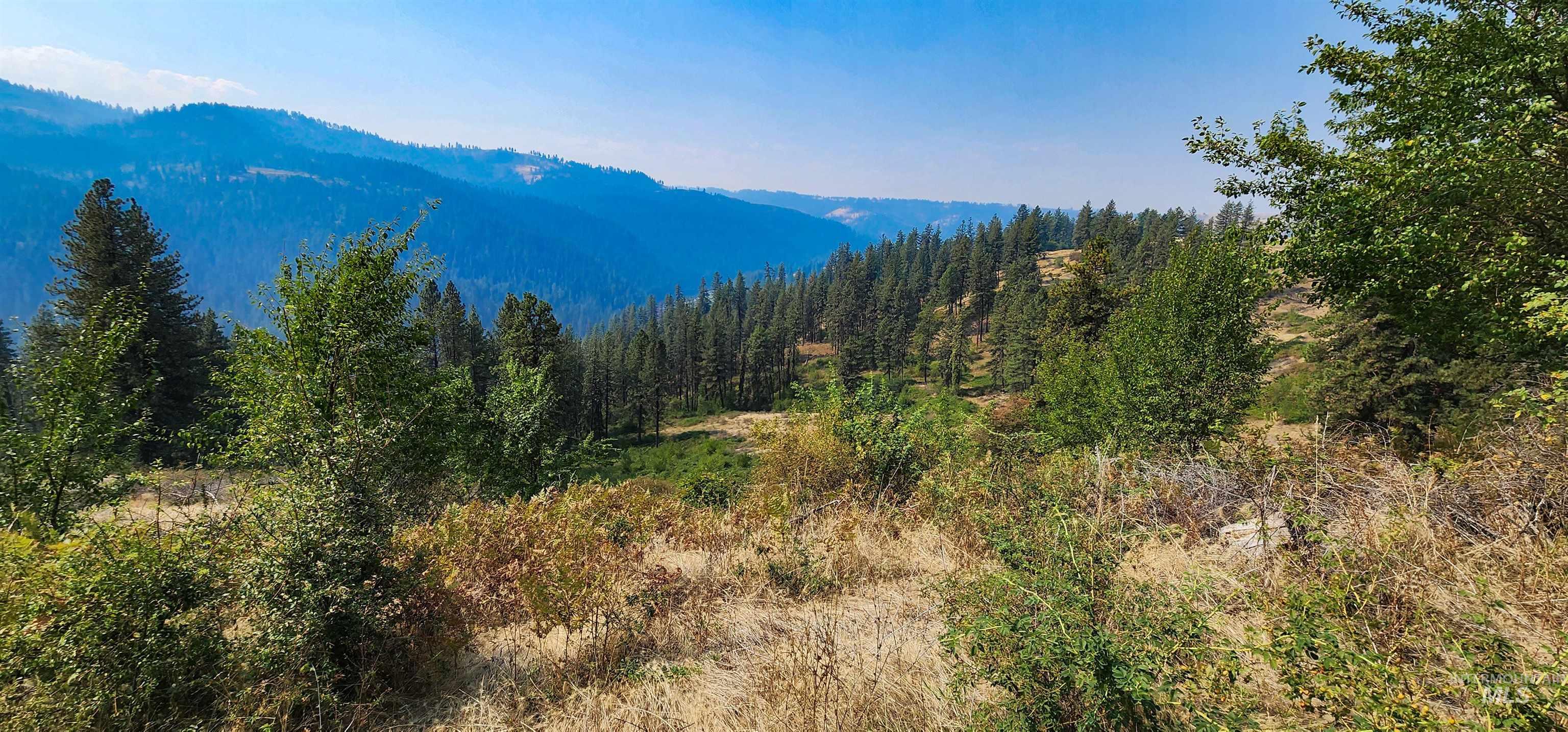 View of mountain backdrop featuring a heavily wooded area