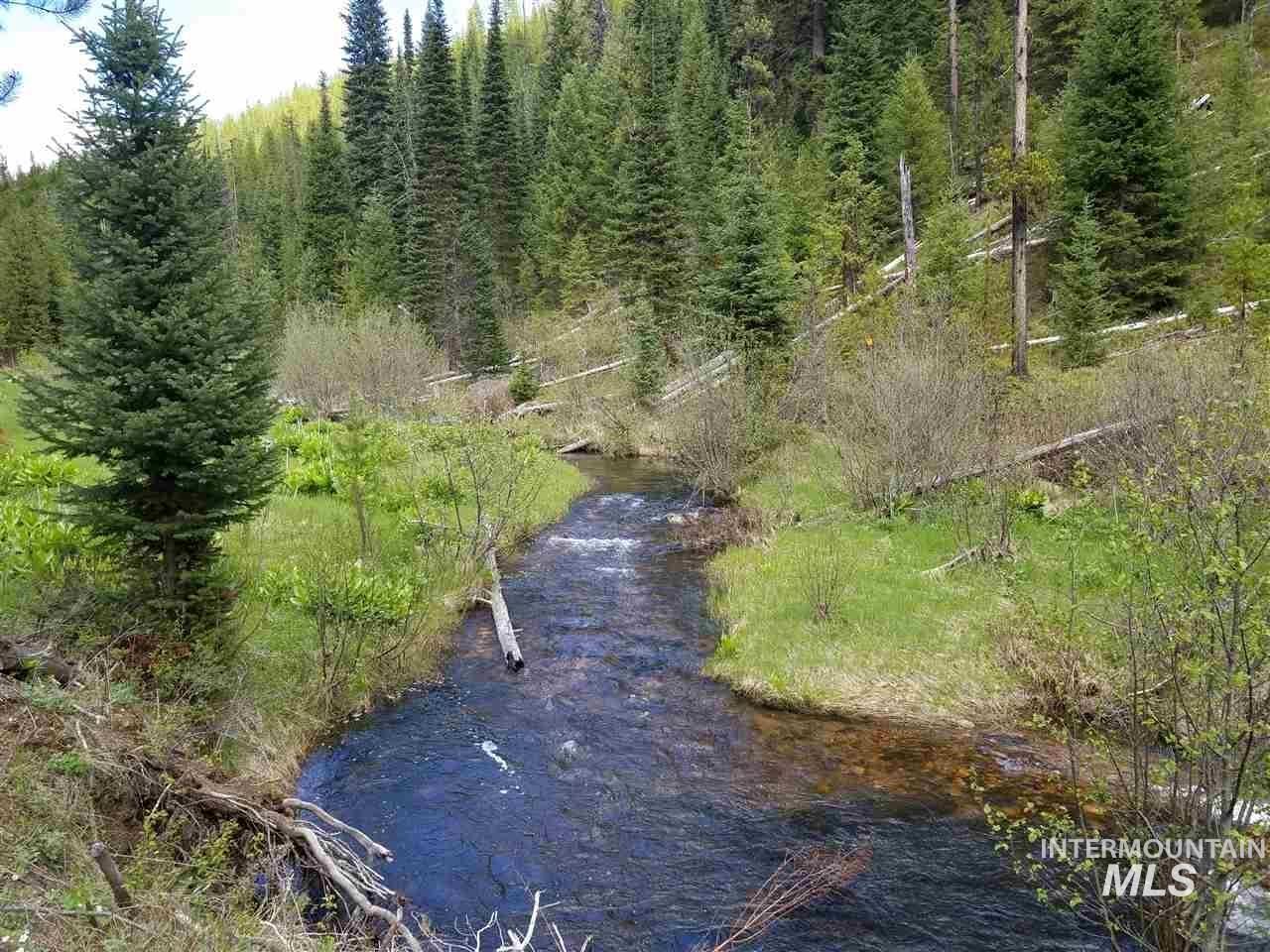 Bird's eye view of a heavily wooded area and a nearby body of water