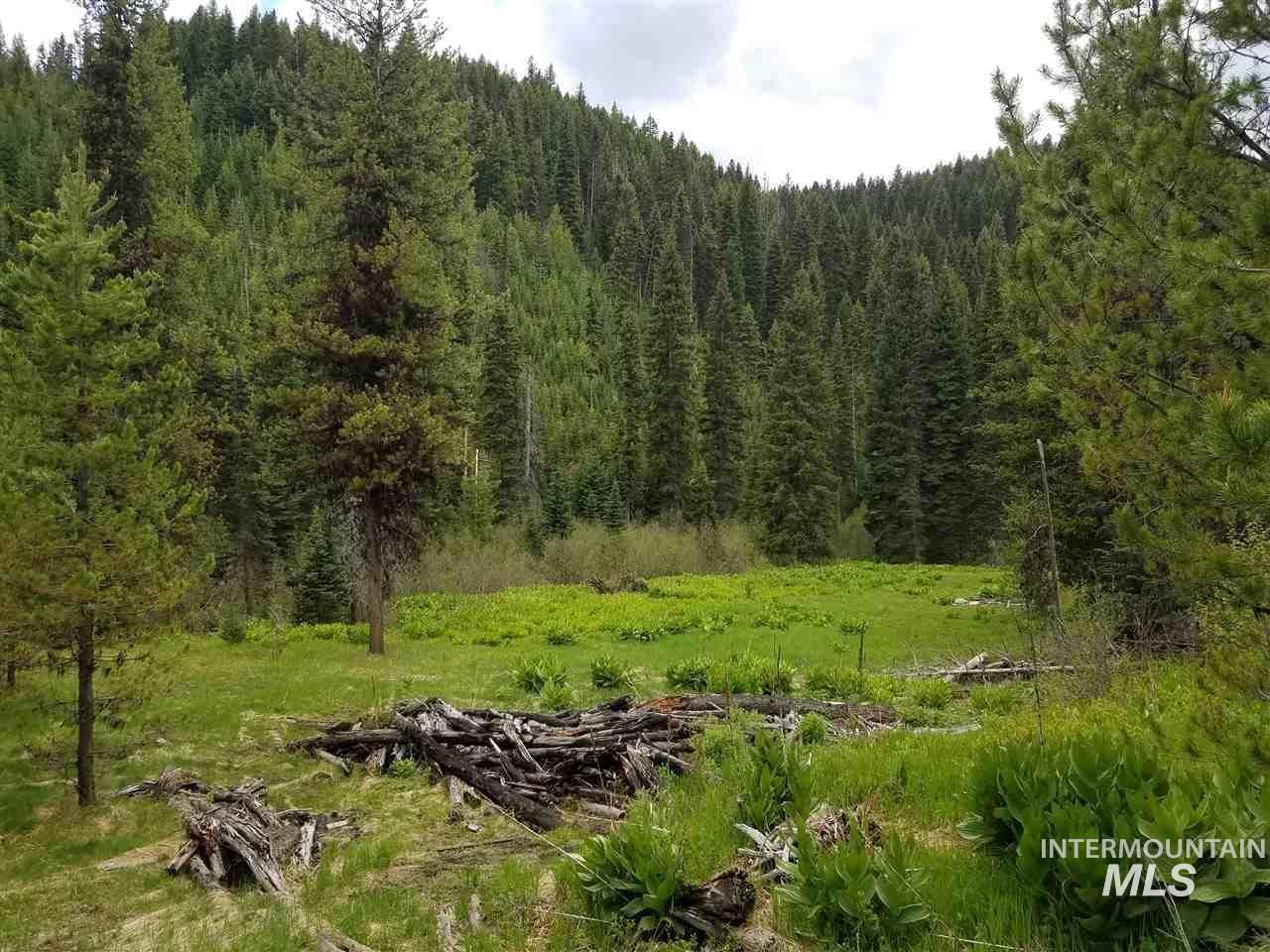 View of wooded area
