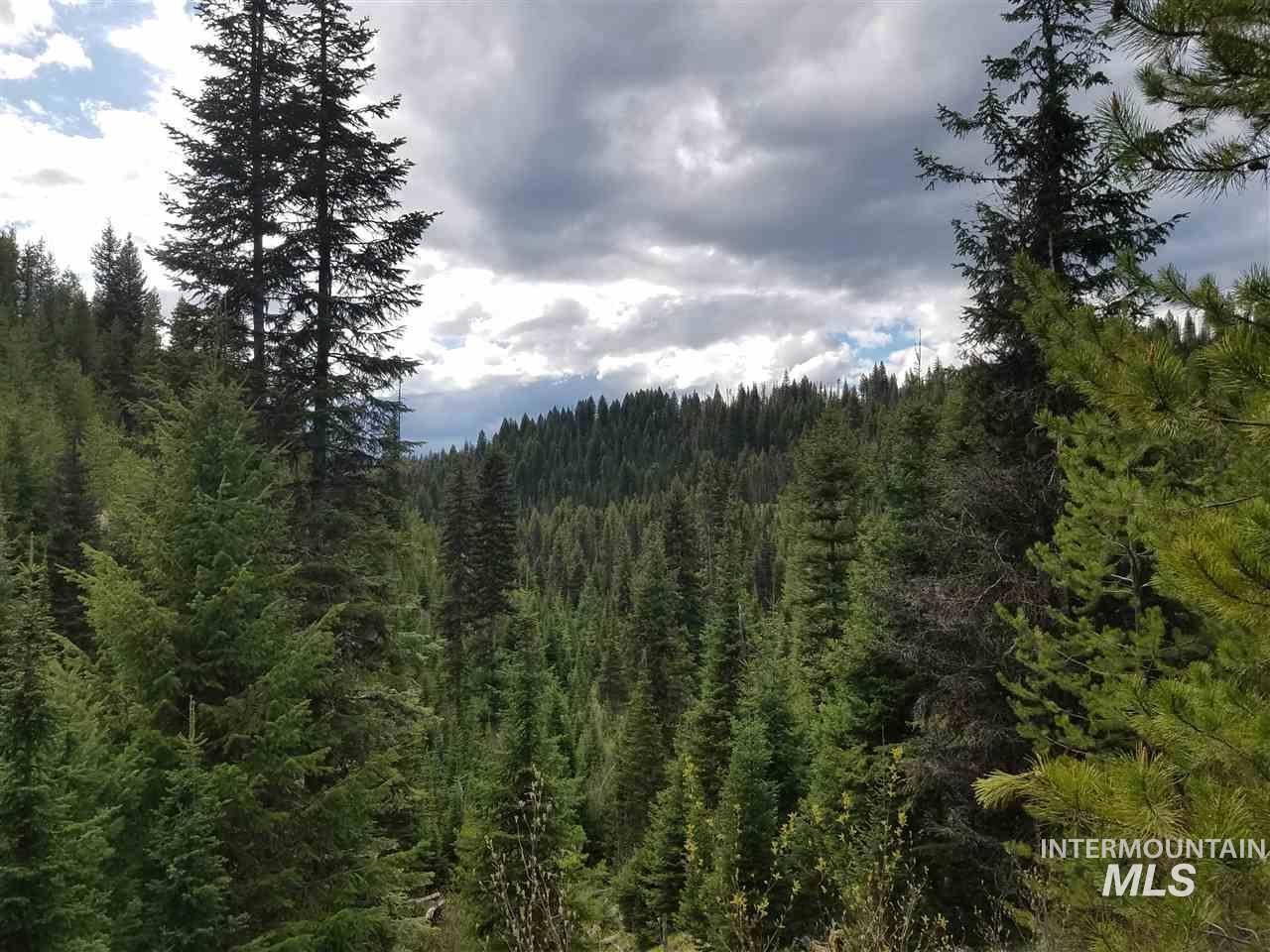 View of woods