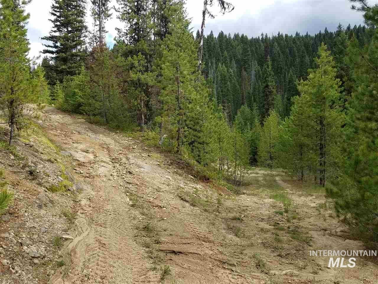 View of wooded area