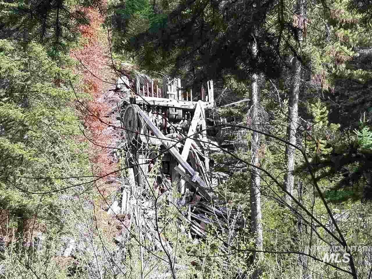 View of woods