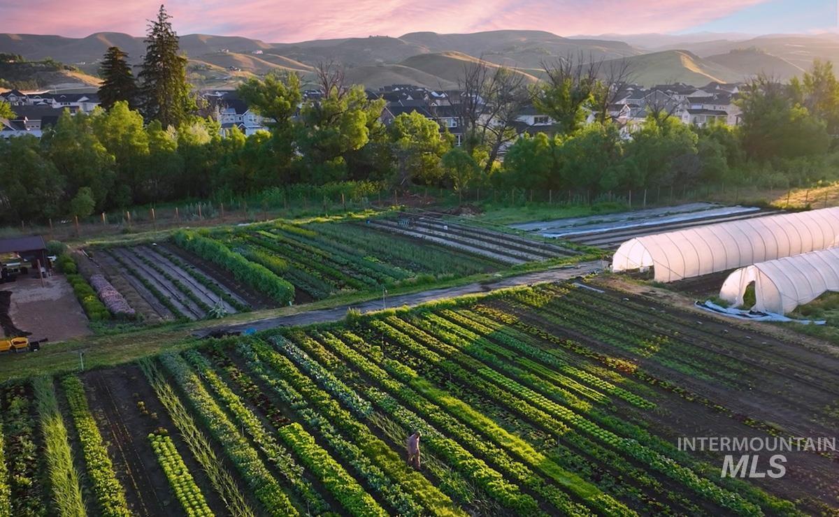 Drone / aerial view of a mountain backdrop and farmland