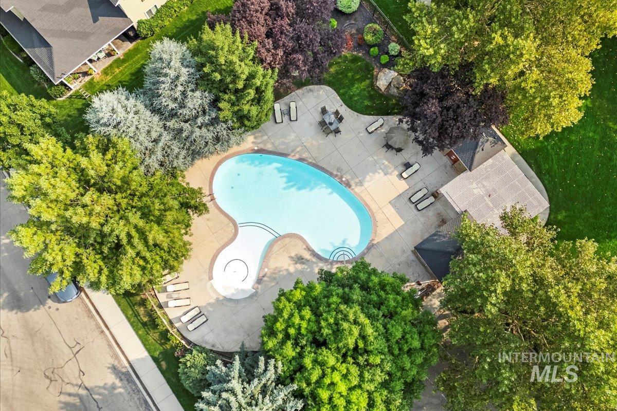 Aerial view of a pool area and a tree filled landscape