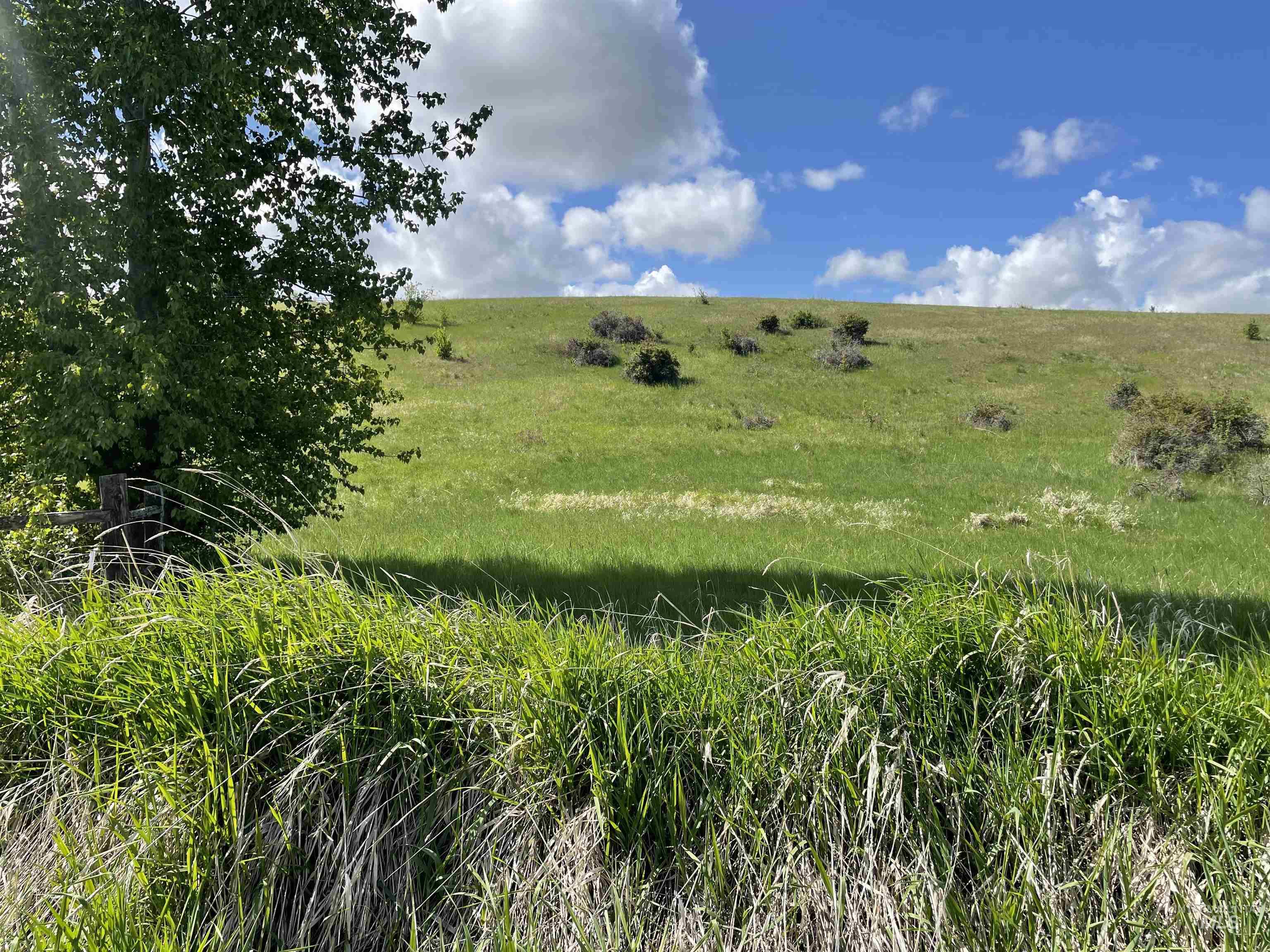 2590 Blaine, Moscow, Idaho 83843, Land For Sale, Price $799,500, 98960287