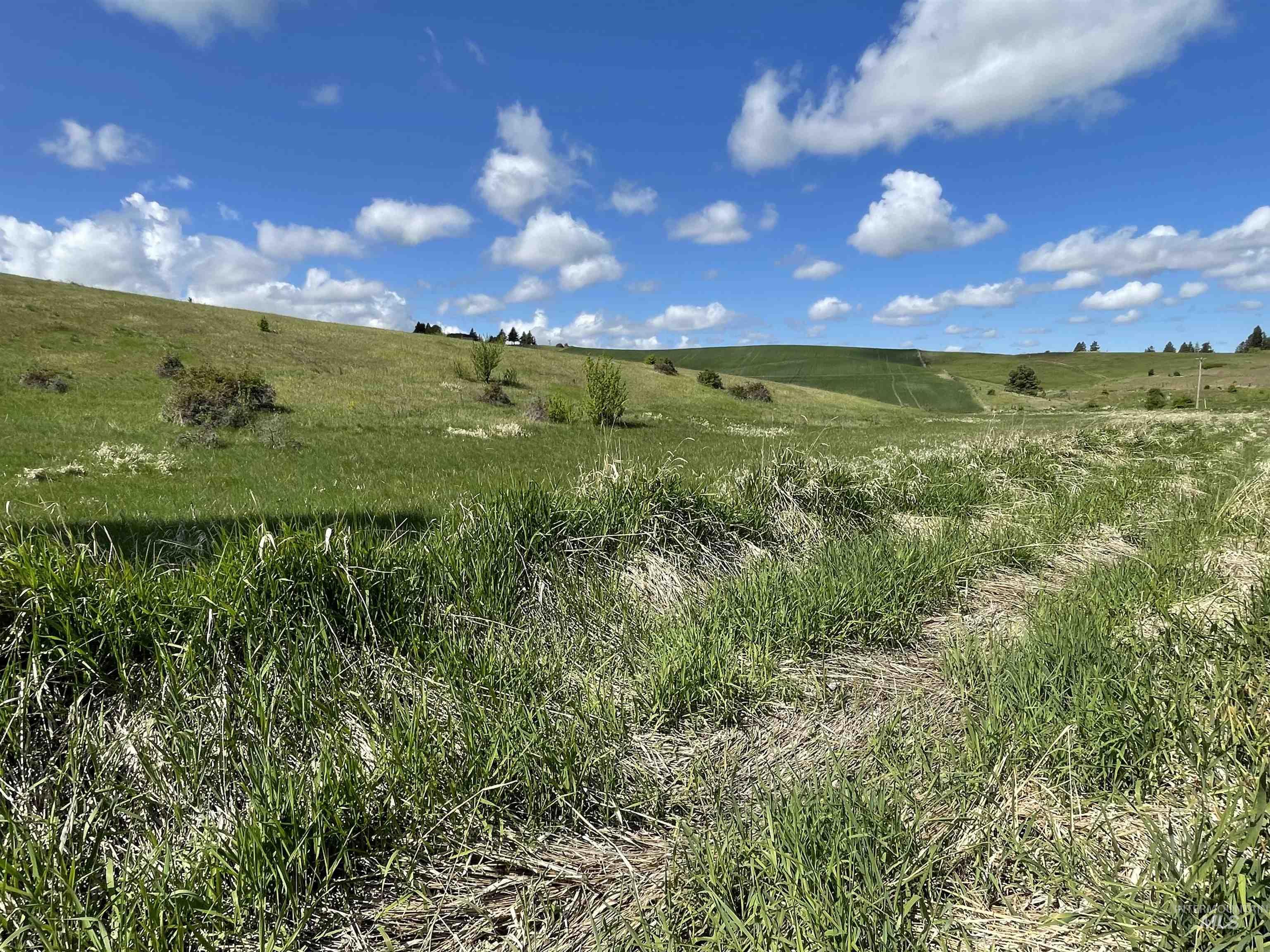 2590 Blaine, Moscow, Idaho 83843, Land For Sale, Price $799,500, 98960287