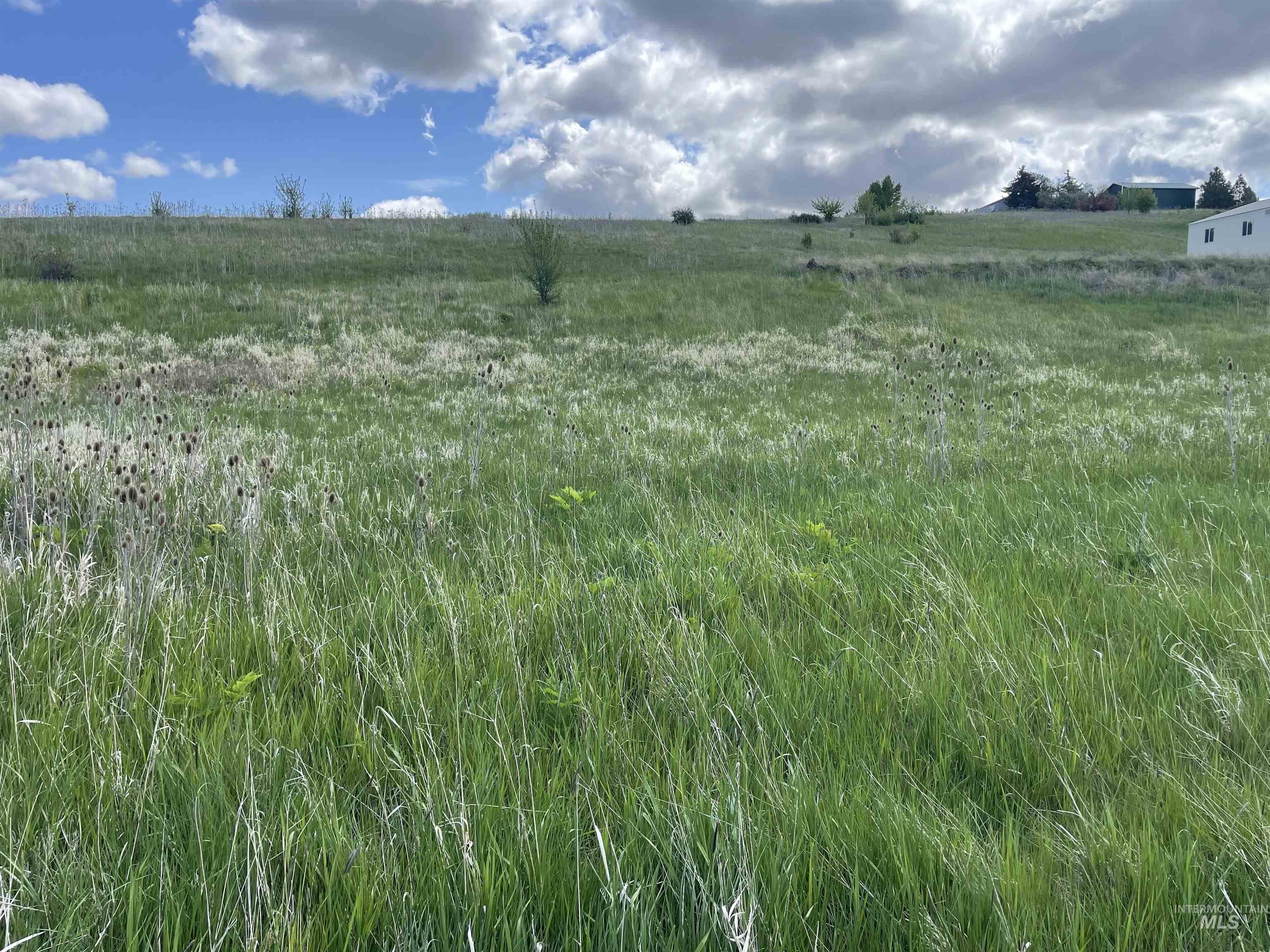 2590 Blaine, Moscow, Idaho 83843, Land For Sale, Price $799,500, 98960287