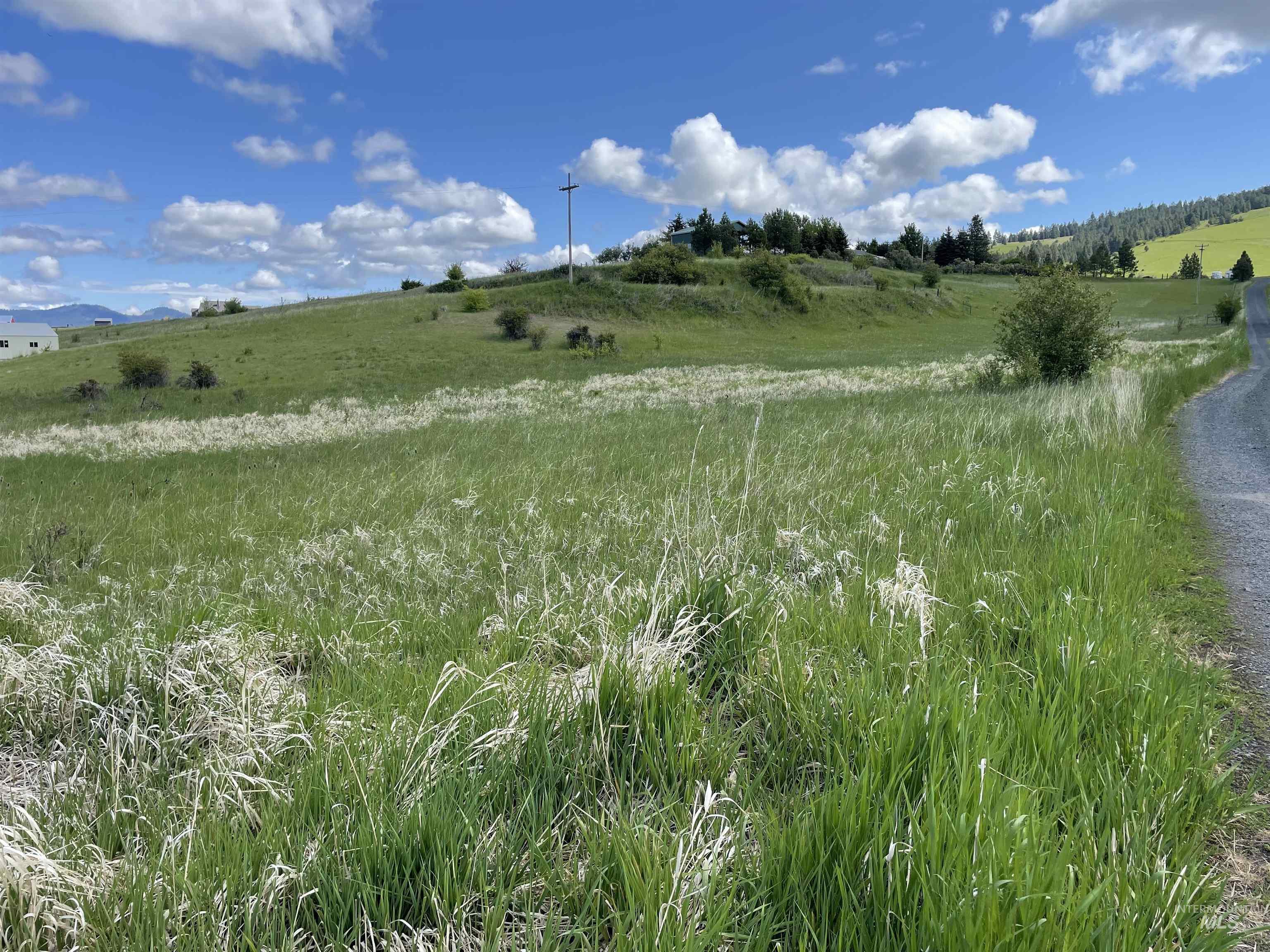 2590 Blaine, Moscow, Idaho 83843, Land For Sale, Price $799,500, 98960287